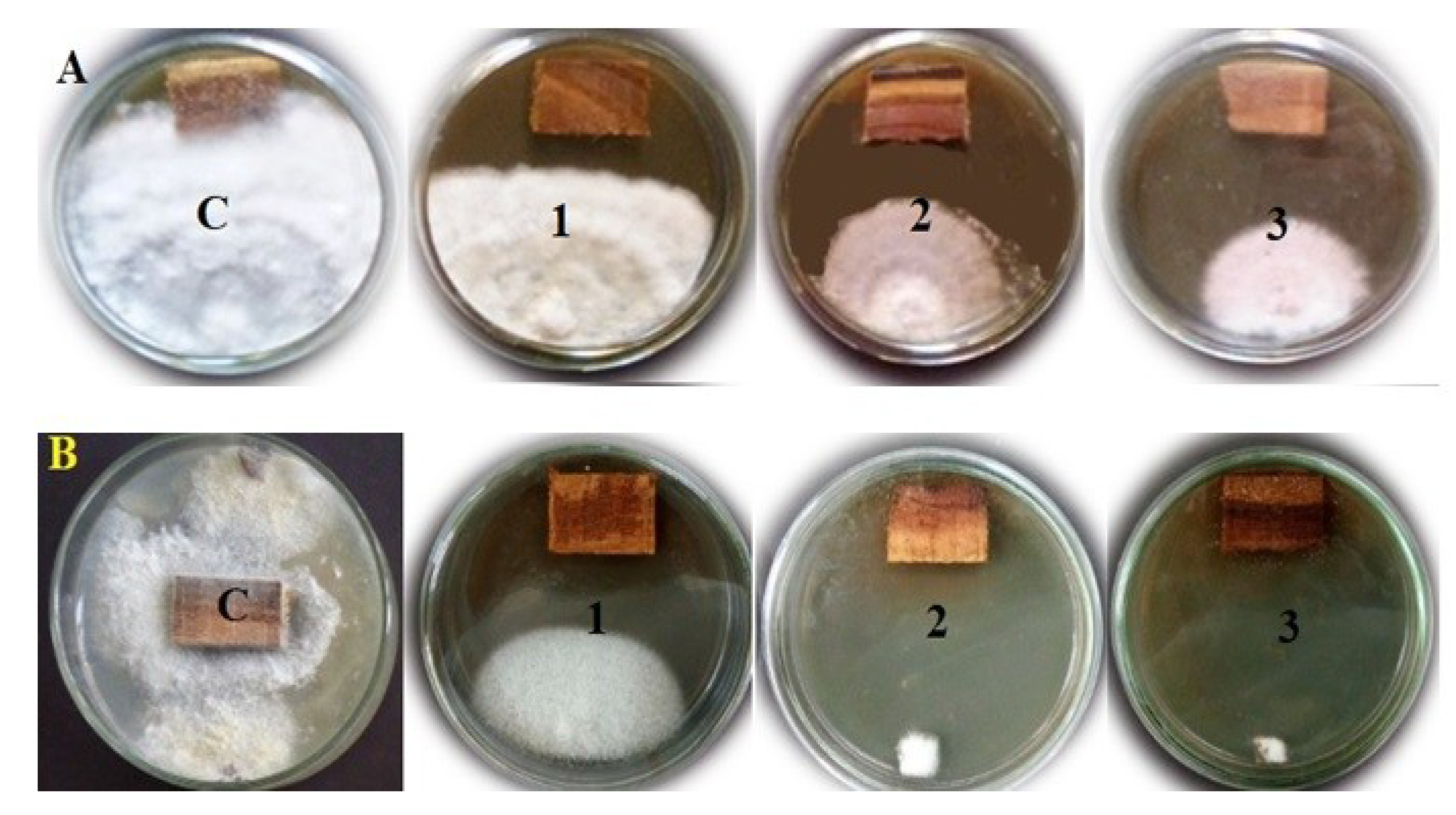 Processes 07 00215 g002 Processes 07 00215 g002
