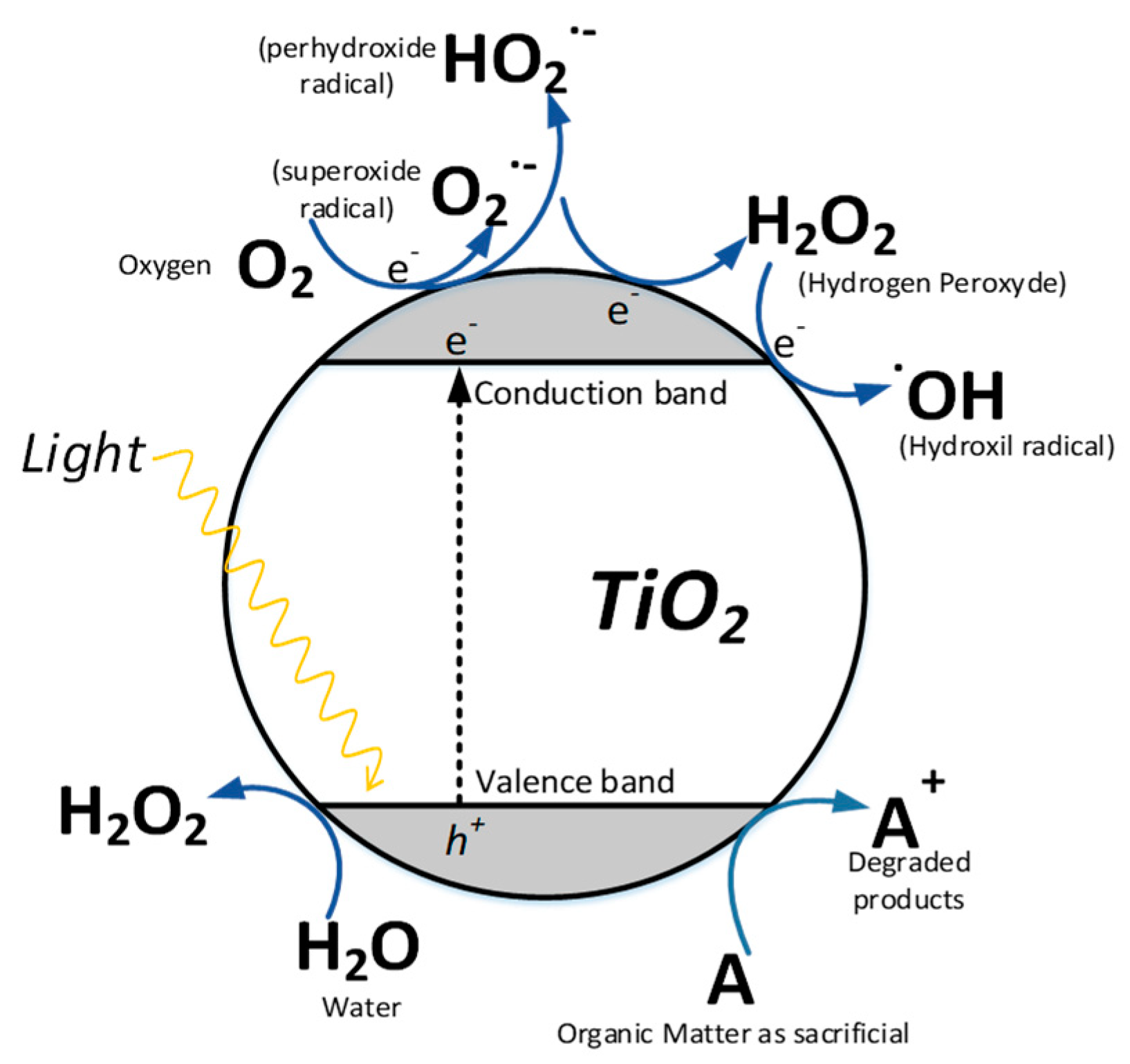 Processes | Free Full-Text | Recent Developments in the ...