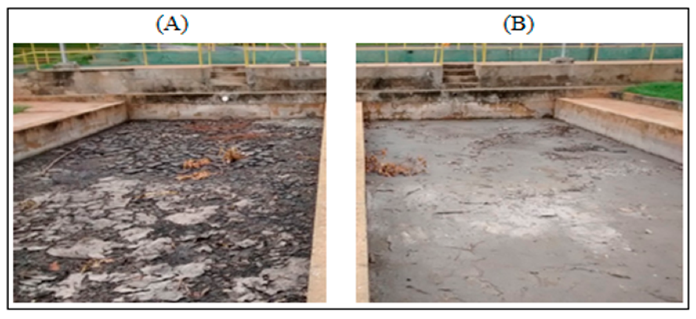 Processes Free FullText Characterization of the Primary Sludge