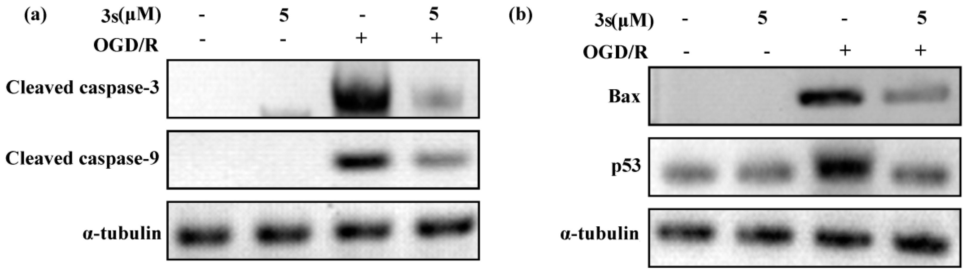 Processes 07 00236 g005
