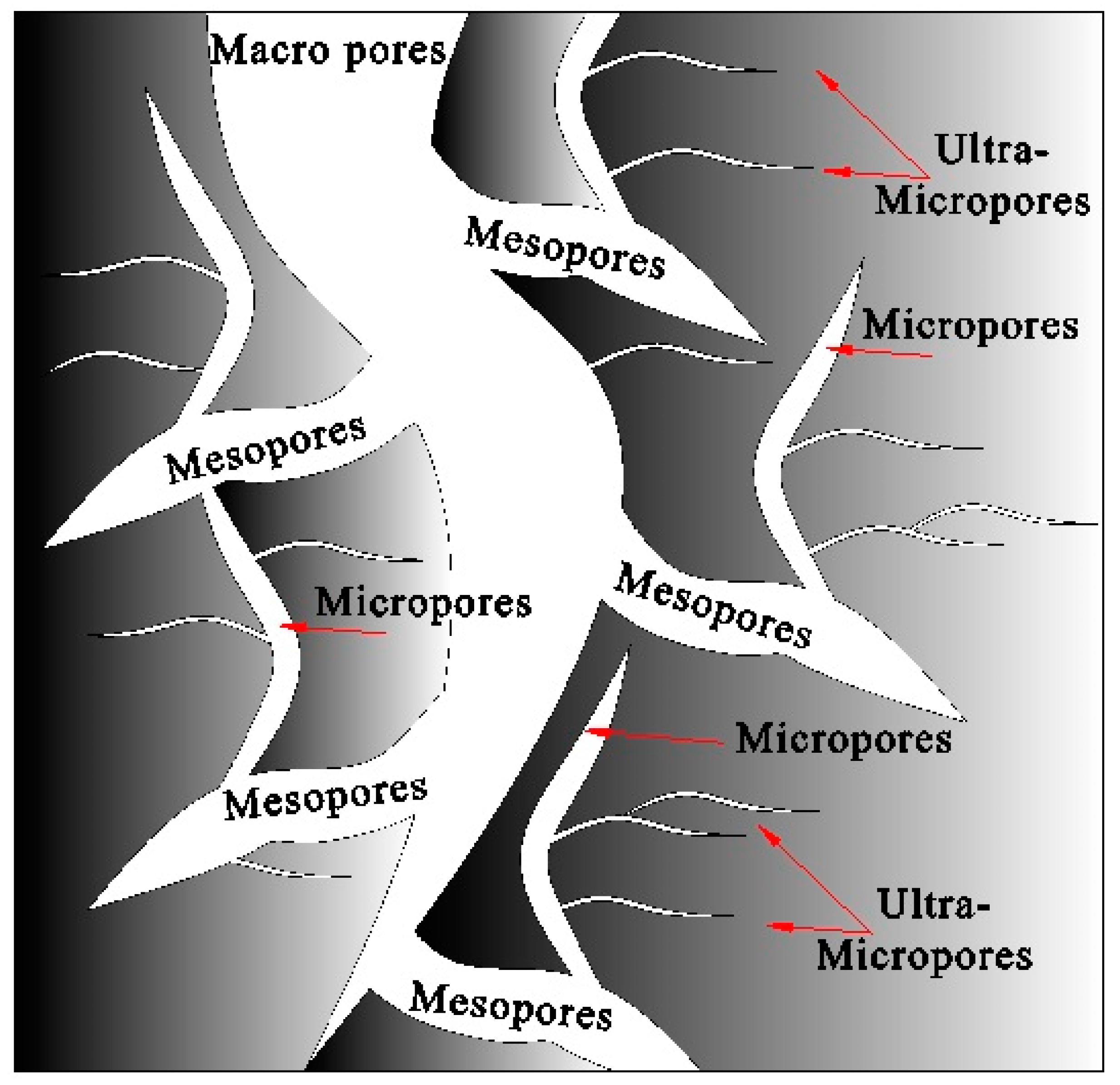 Processes 07 00238 g005 550
