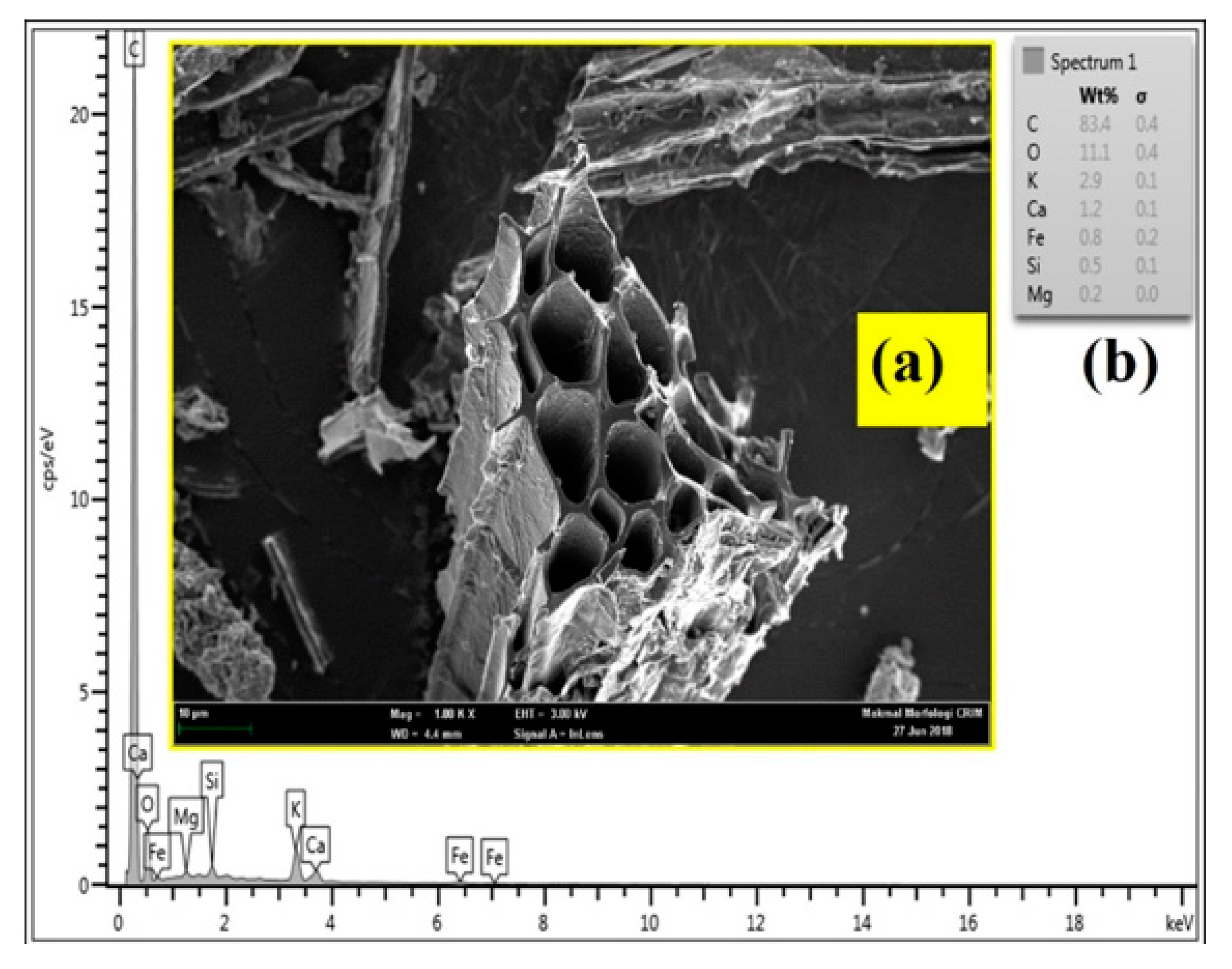 Processes 07 00249 g006 Processes 07 00249 g006