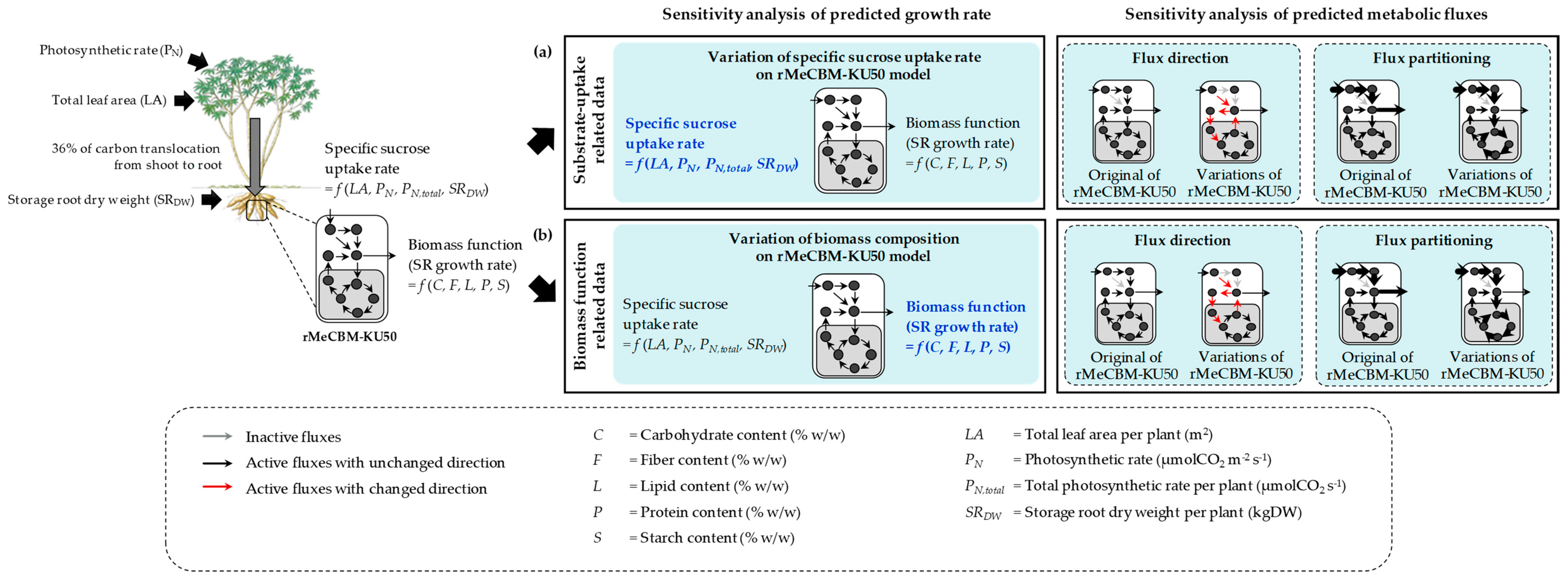 Processes 07 00259 g001