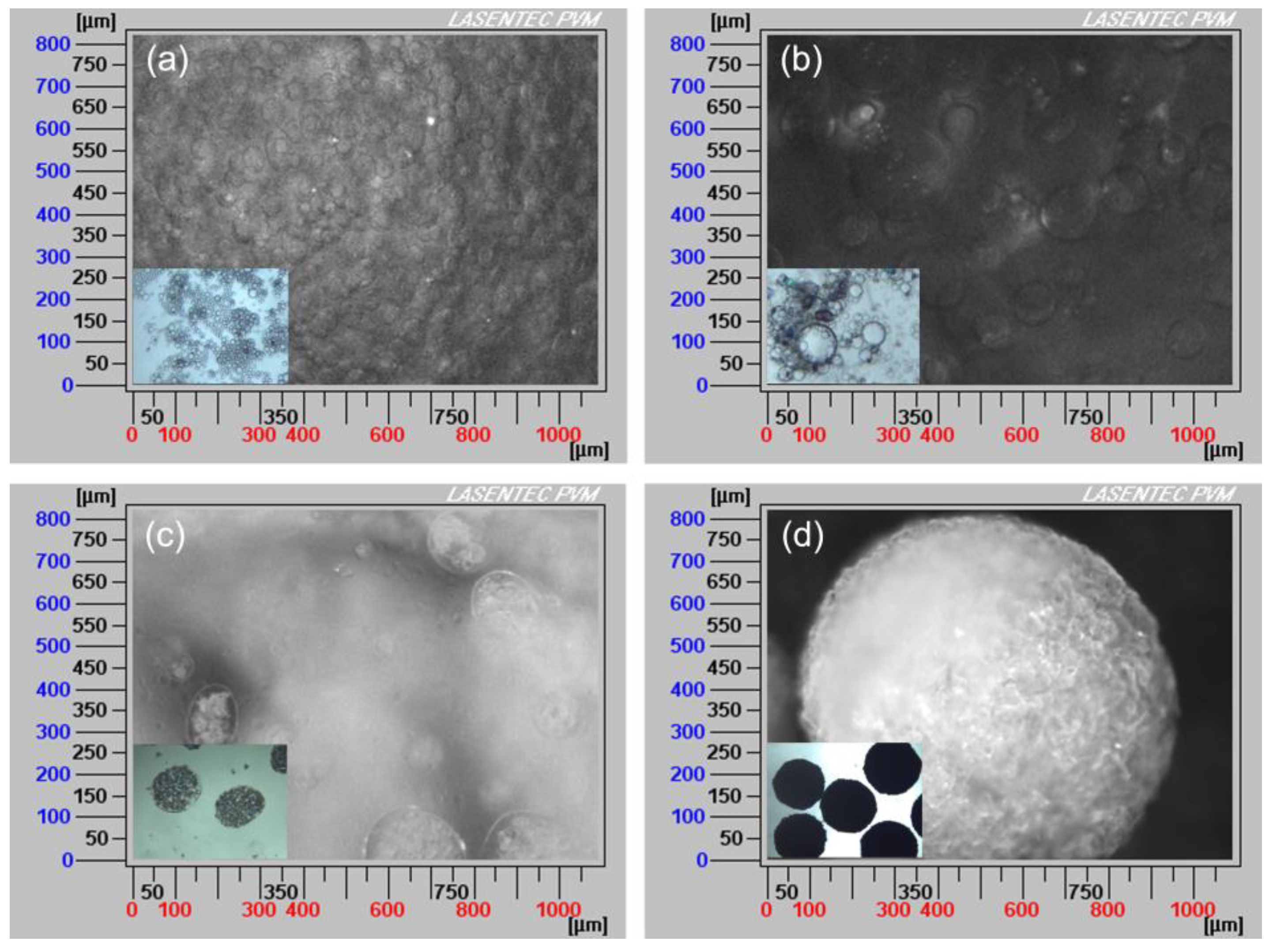 Processes 07 00276 g005