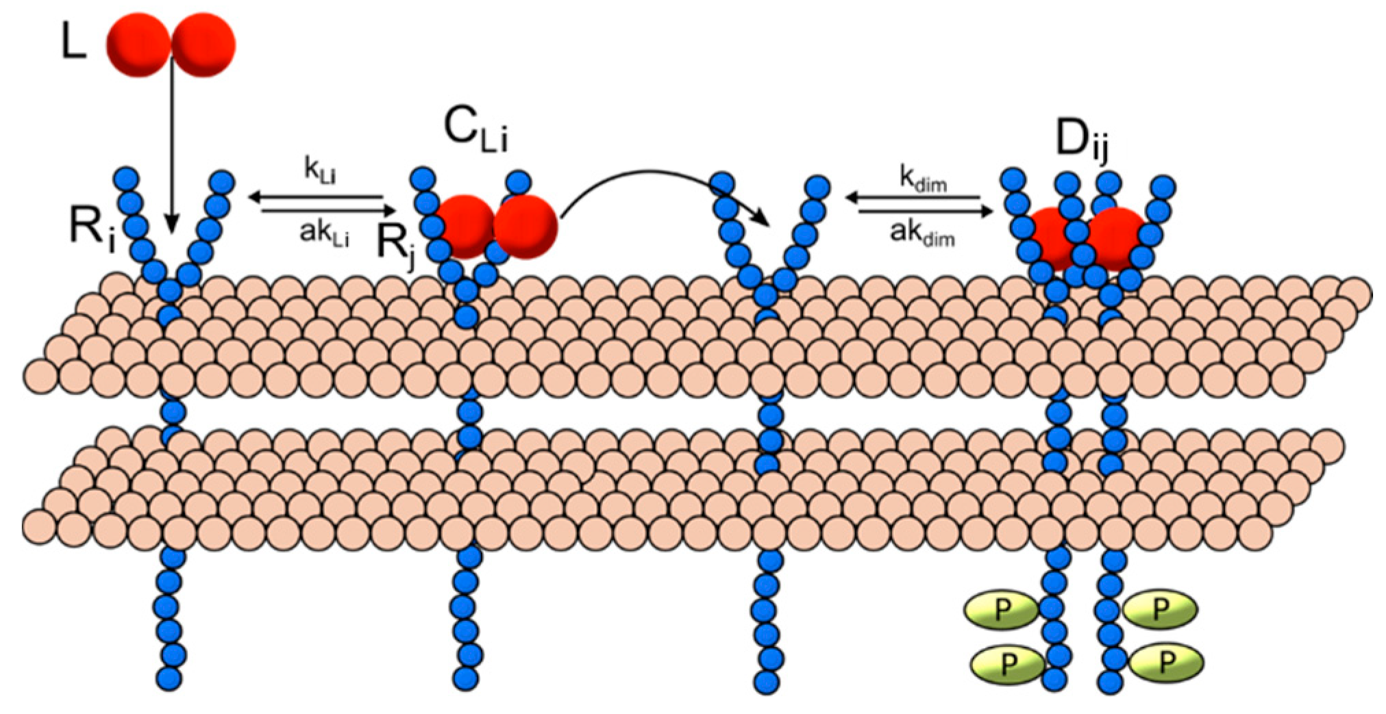 Processes 07 00288 g001 Processes 07 00288 g001