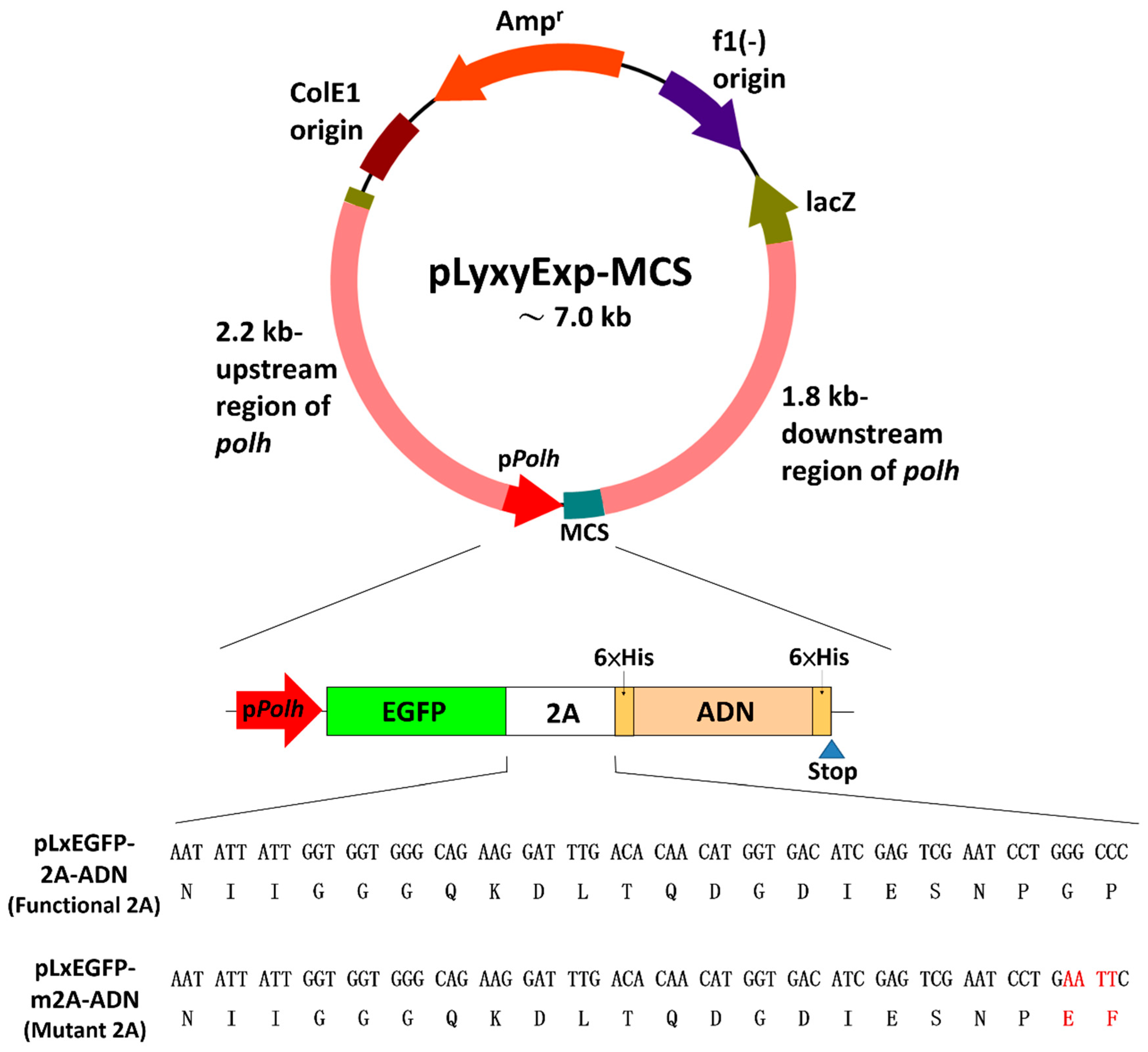 Processes 07 00291 g002