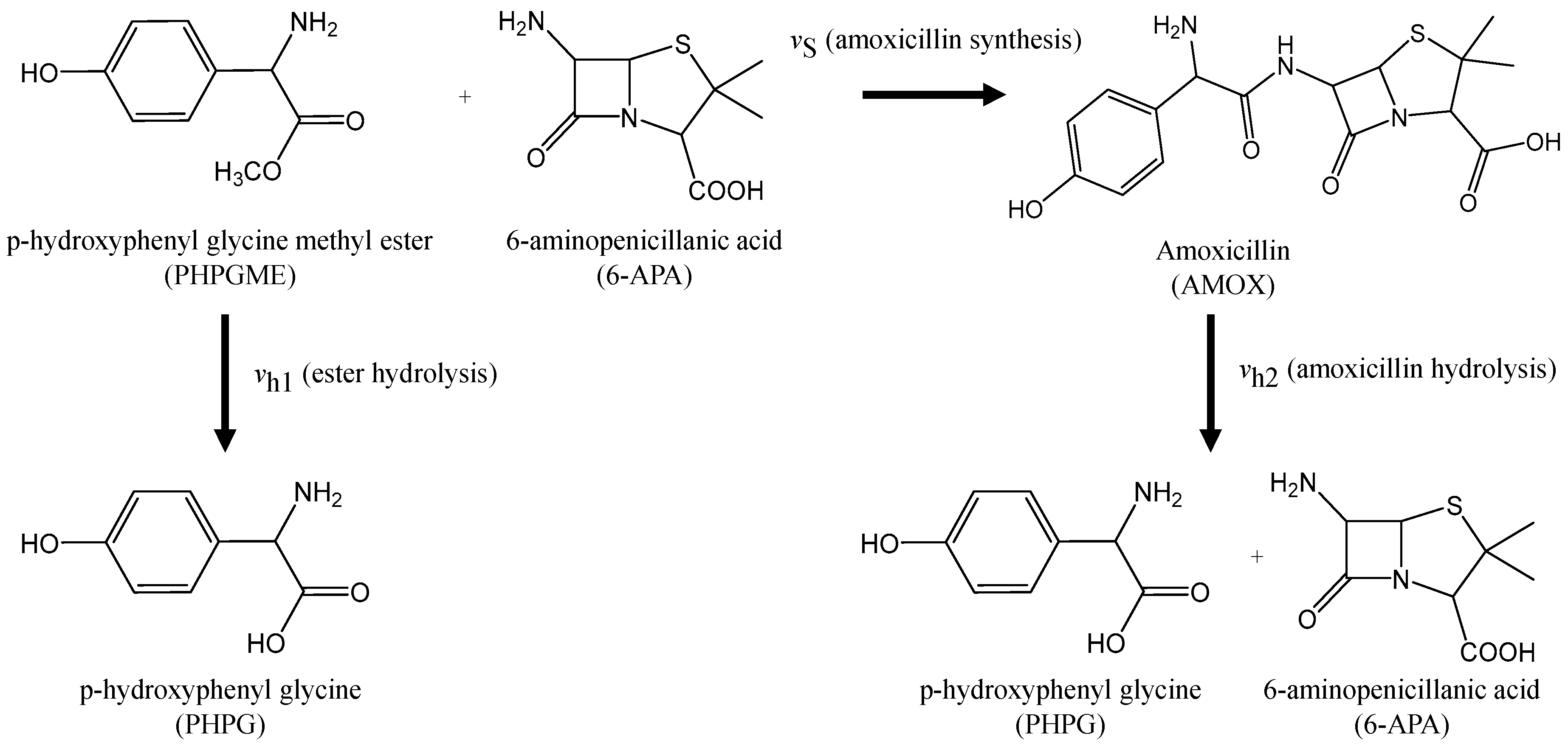 Processes 07 00318 g002