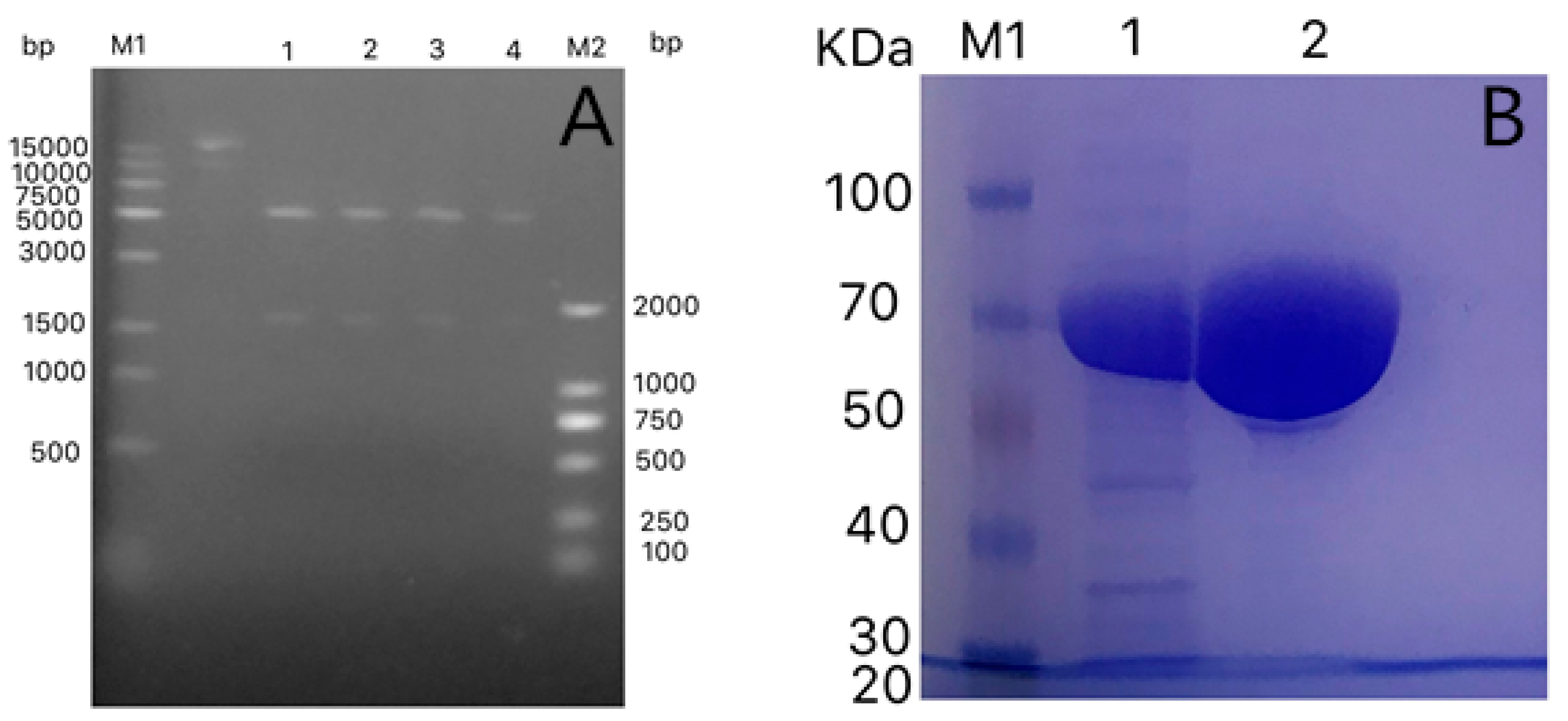 Processes 07 00326 g002 Processes 07 00326 g002