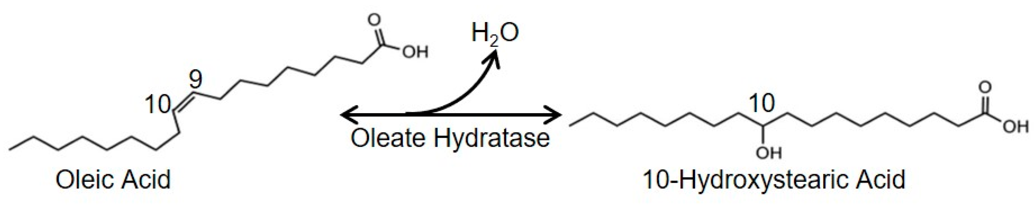 Processes 07 00326 sch001 Processes 07 00326 sch001