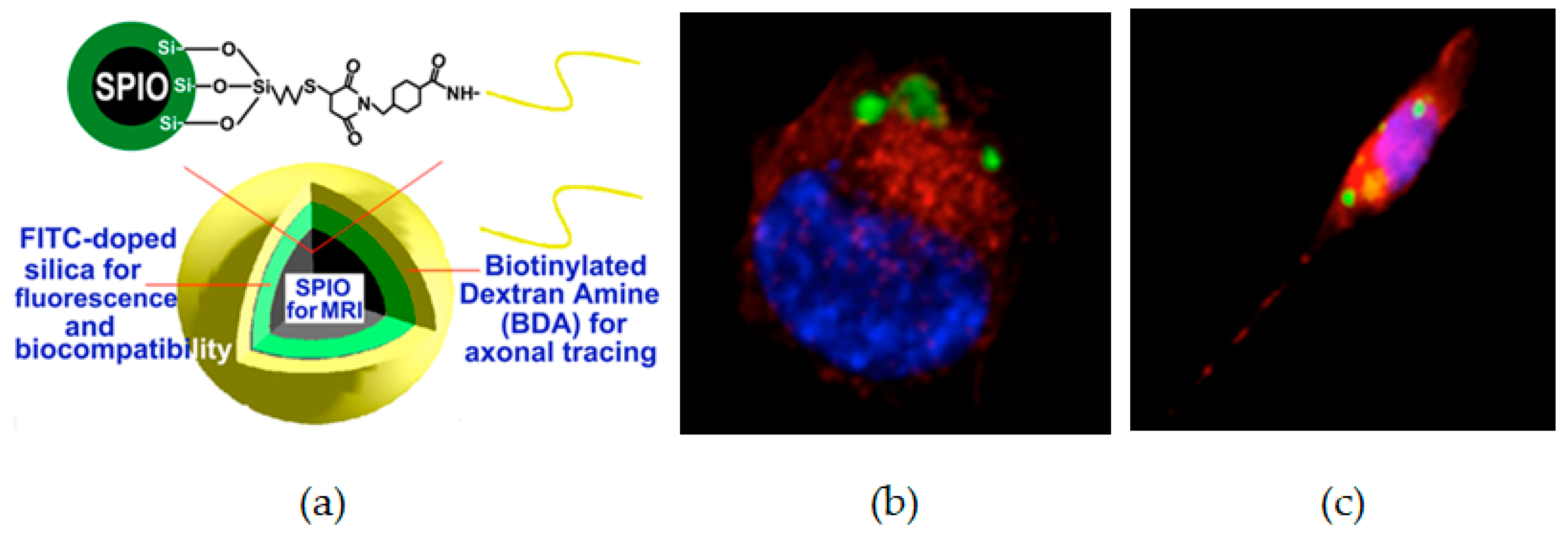 Processes 07 00336 g002 Processes 07 00336 g002