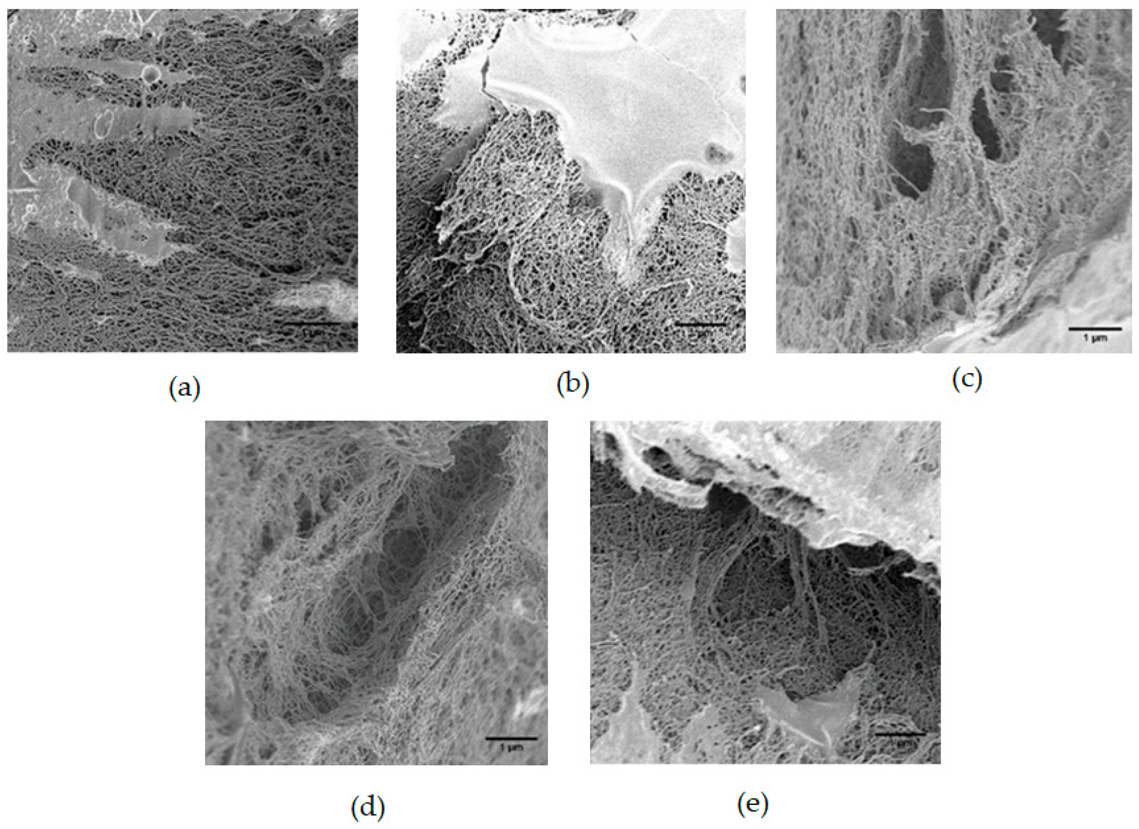 Processes 07 00336 g003 Processes 07 00336 g003