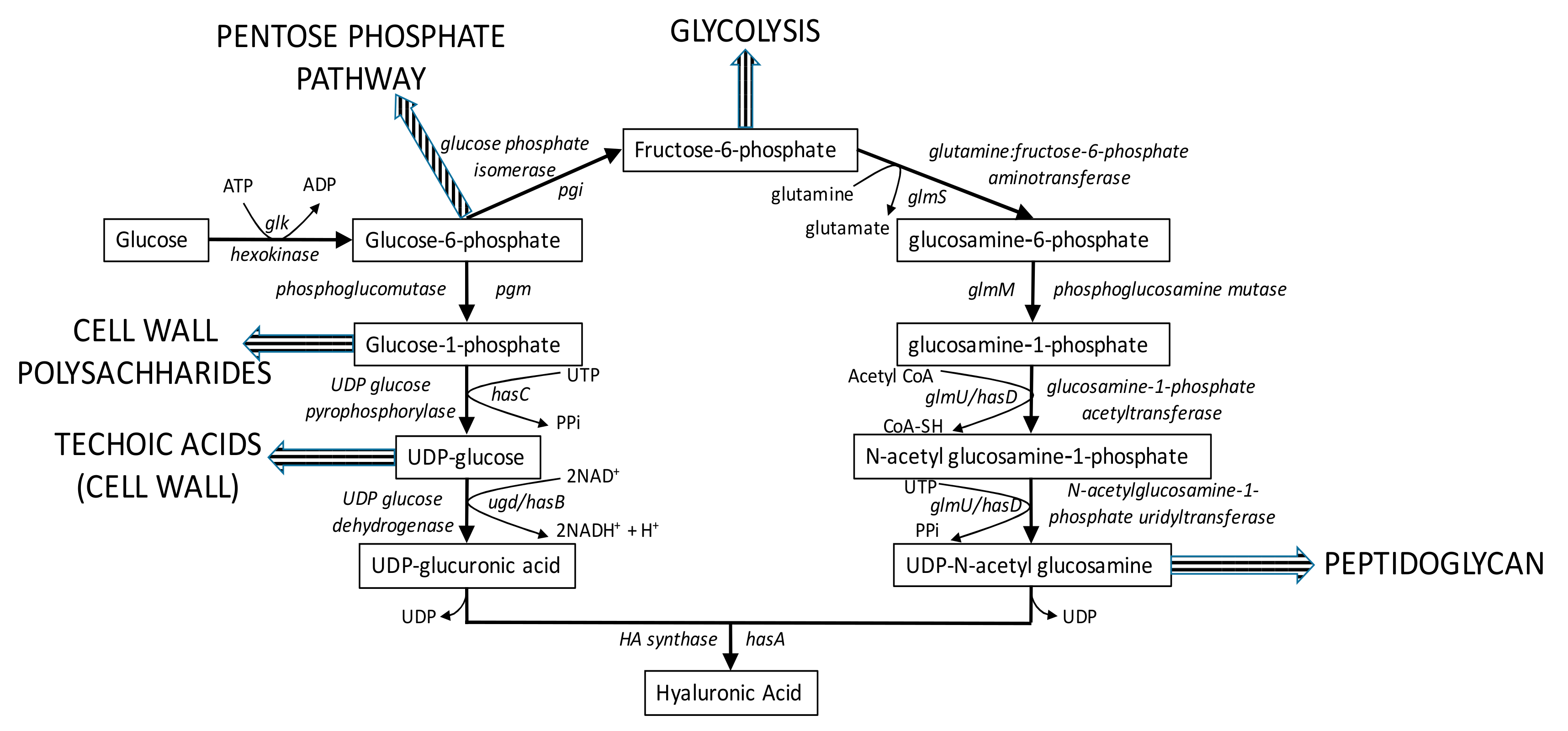 Processes 07 00343 g002