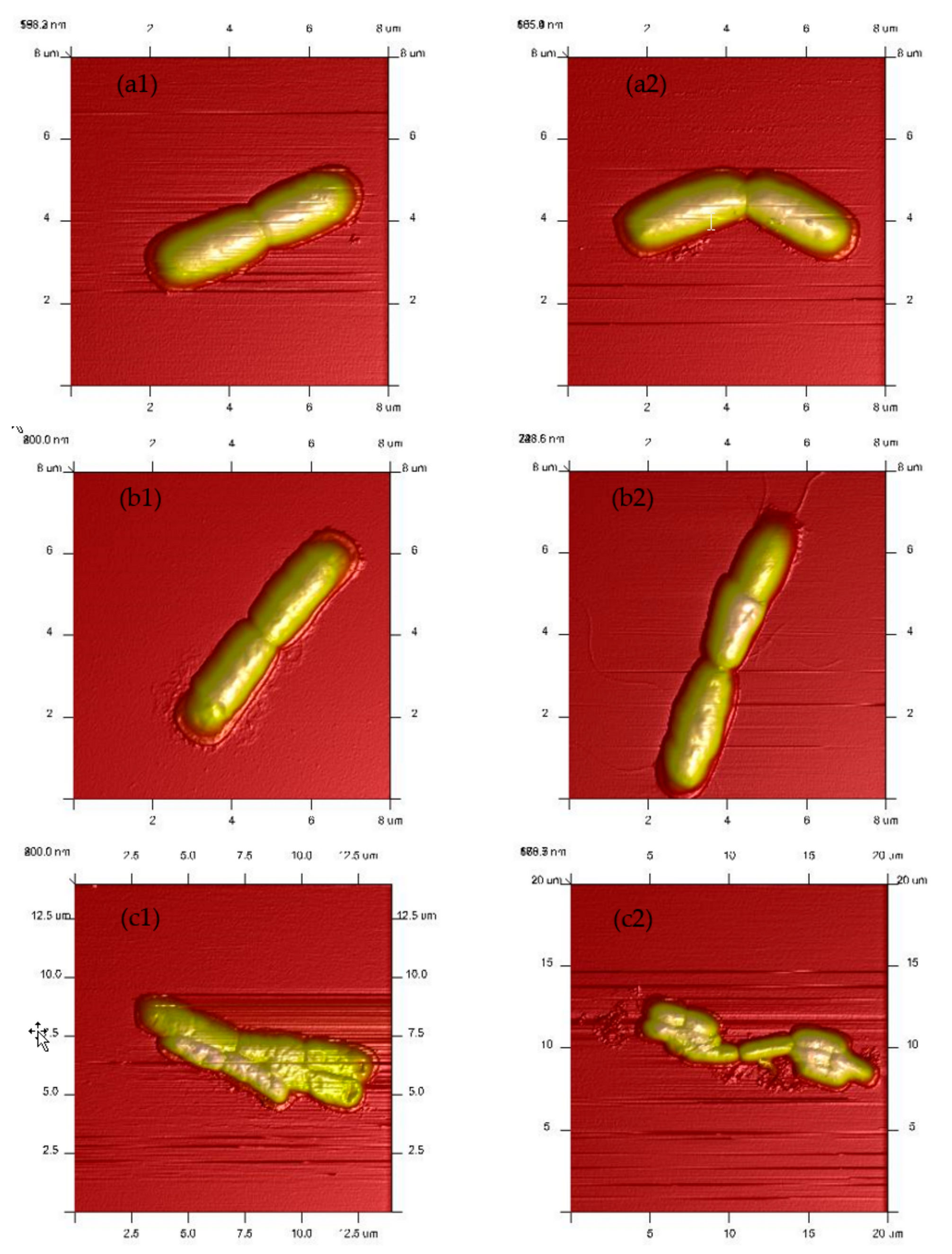 Processes 07 00358 g002a