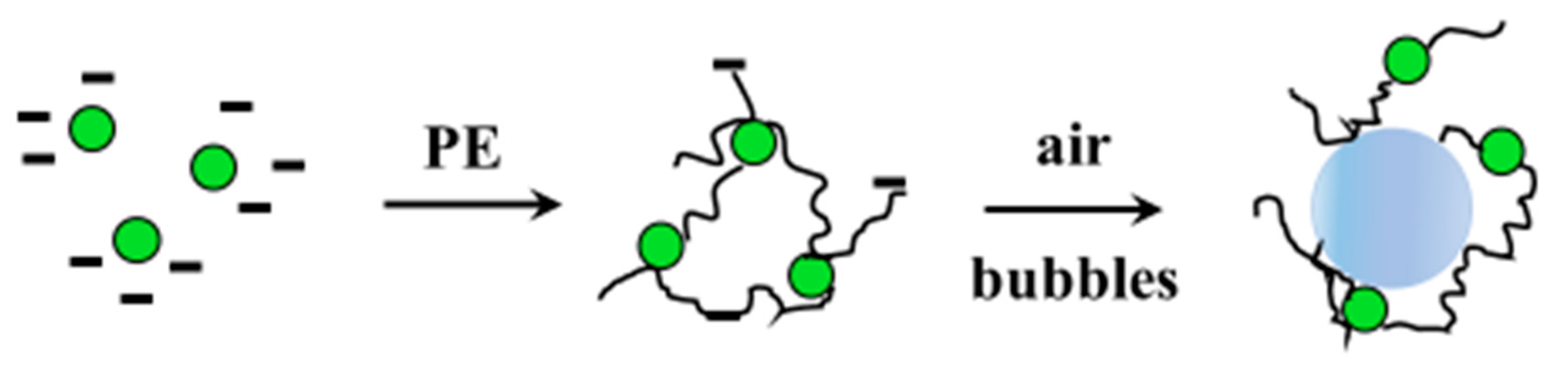 Processes 07 00374 g002