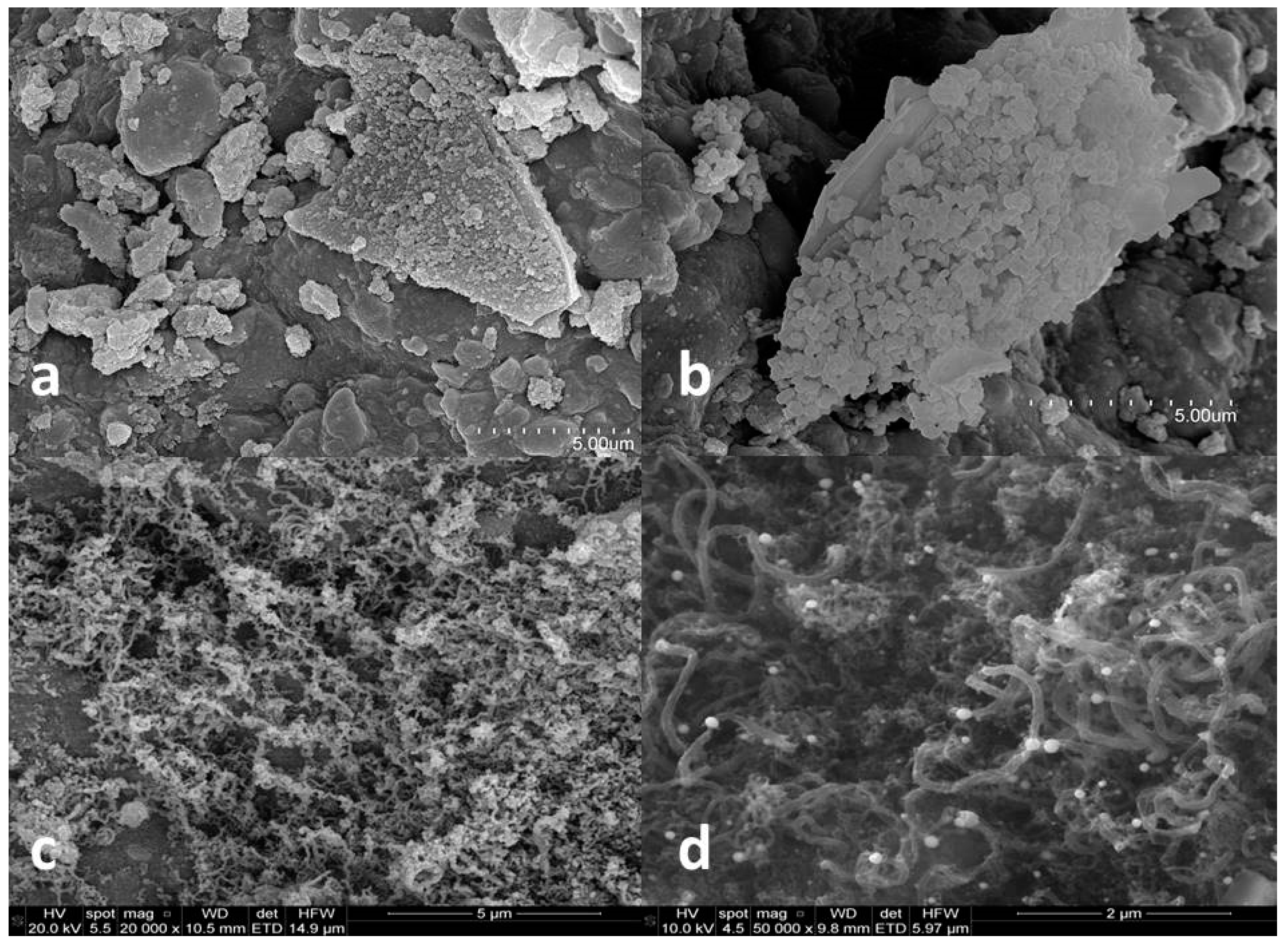 Processes 07 00449 g005