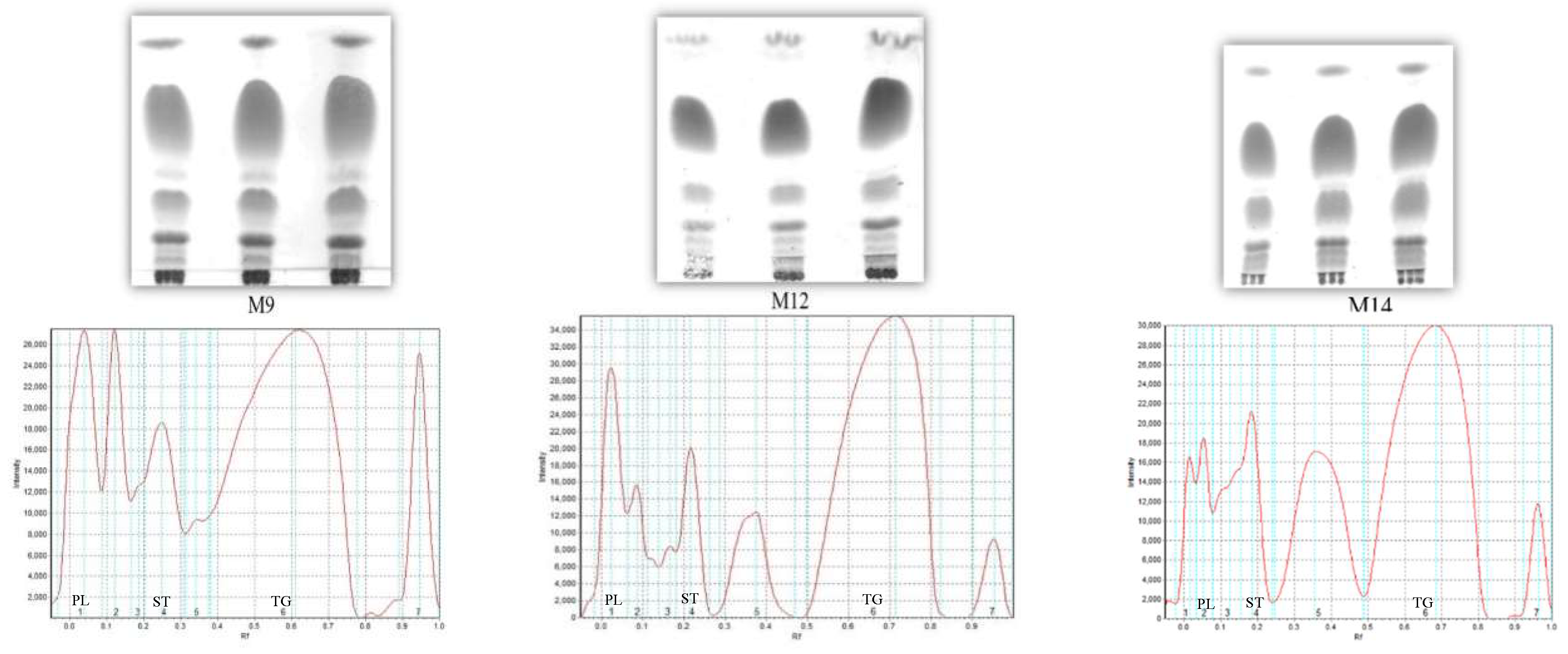 Processes 07 00456 g001a