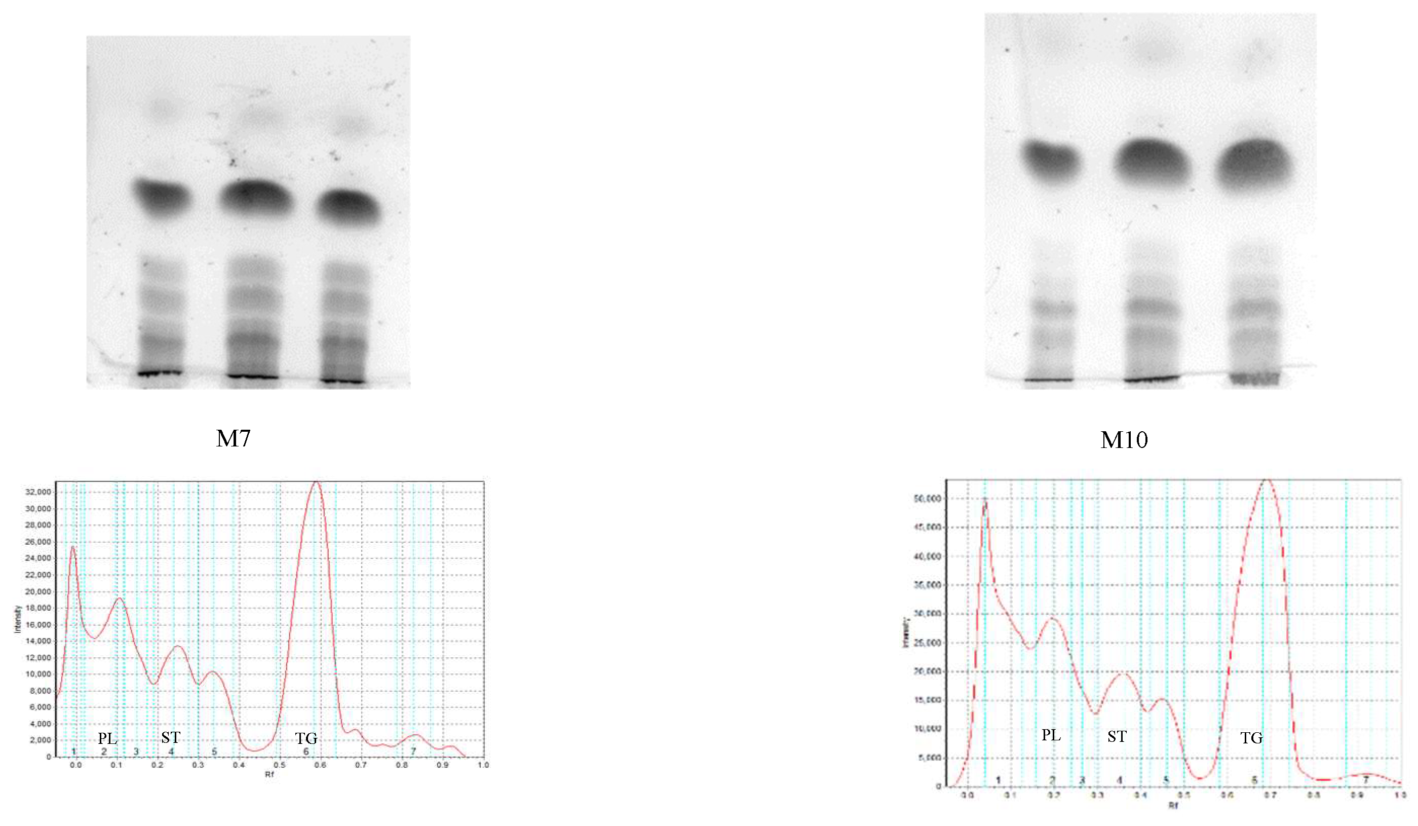 Processes 07 00456 g001b