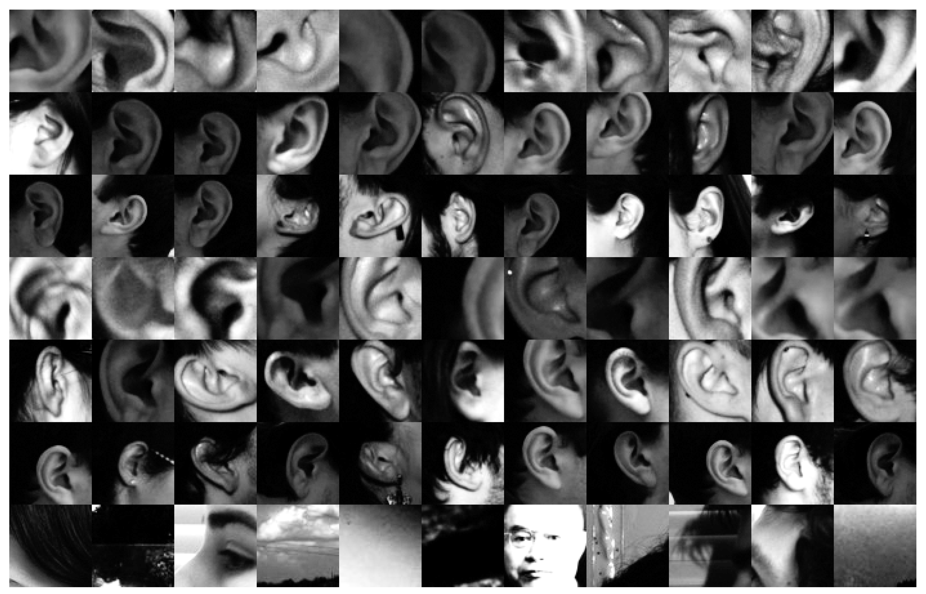 Processes 07 00457 g005