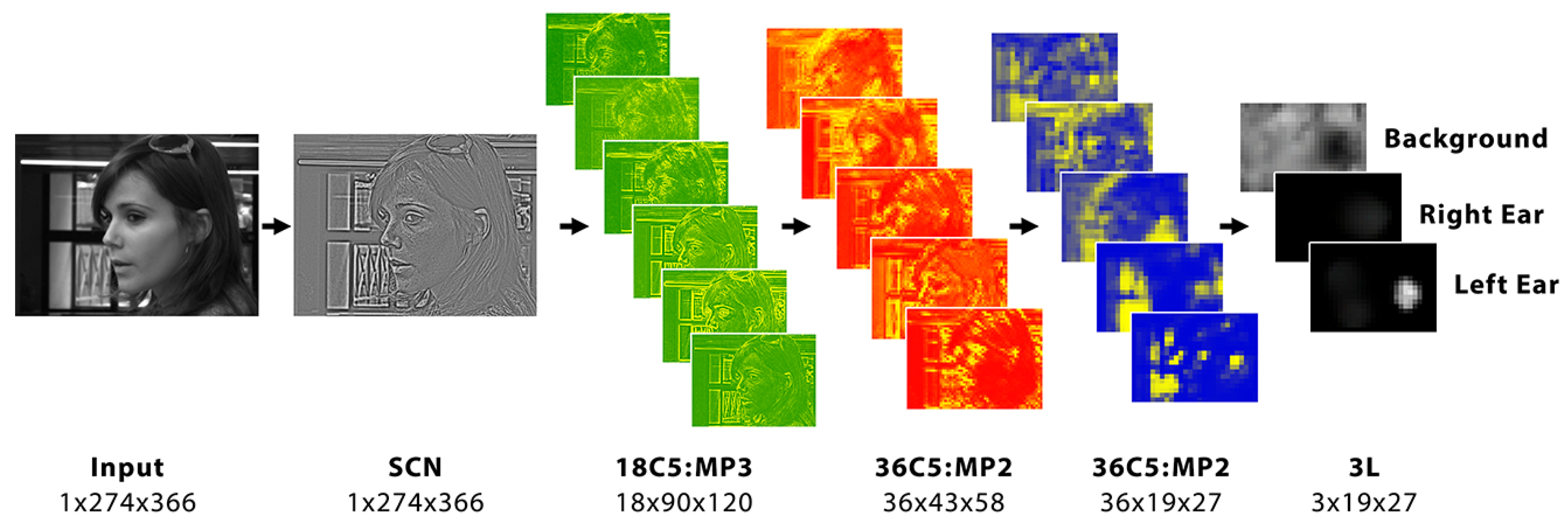 Processes 07 00457 g006