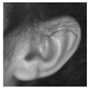 Processes 07 00457 i004