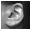 Processes 07 00457 i010