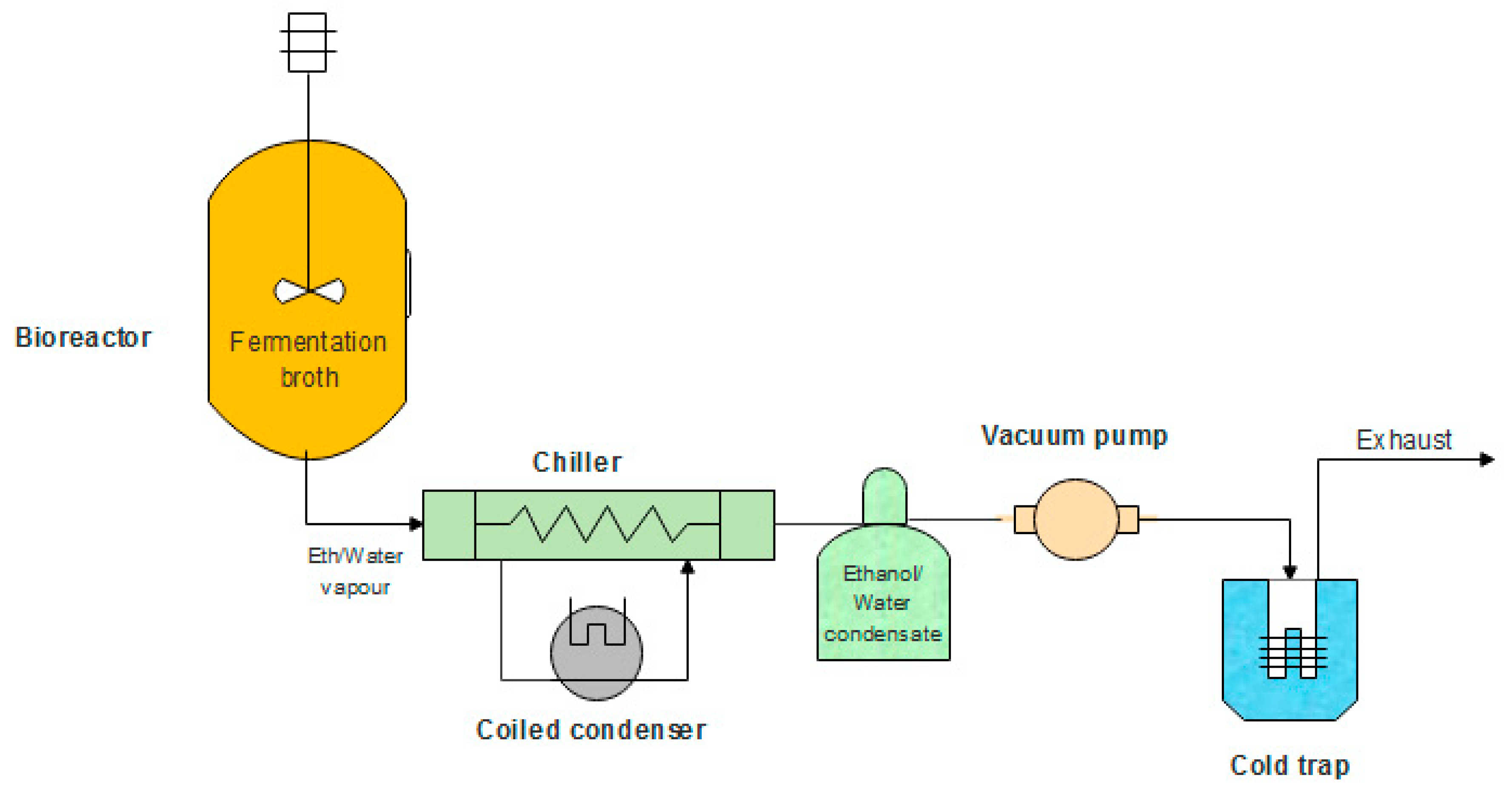 Alcohol Fermentation (Ethanol): Process, Steps, Uses