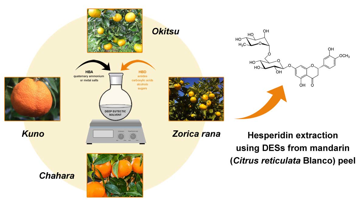 Processes Free FullText Sustainable Green Procedure for Extraction