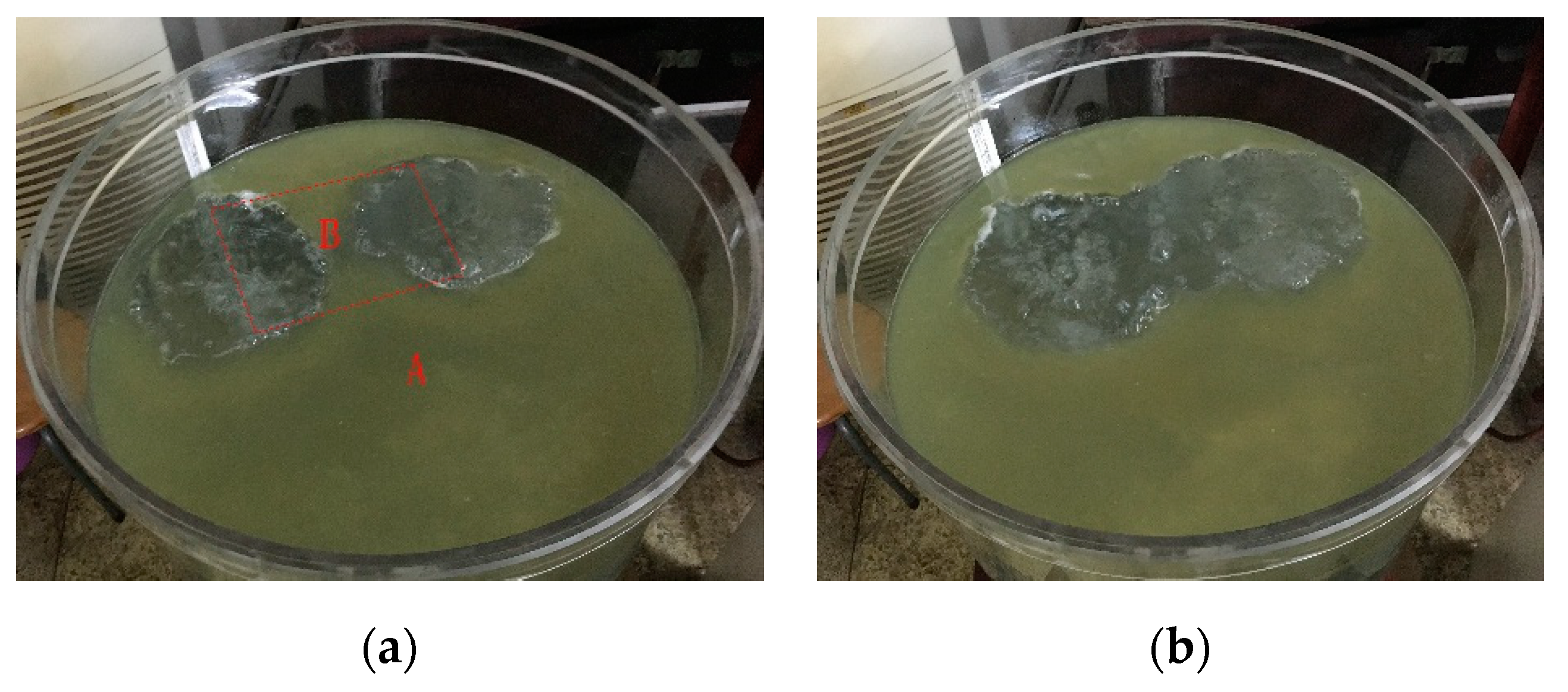 Processes 07 00479 g008 Processes 07 00479 g008