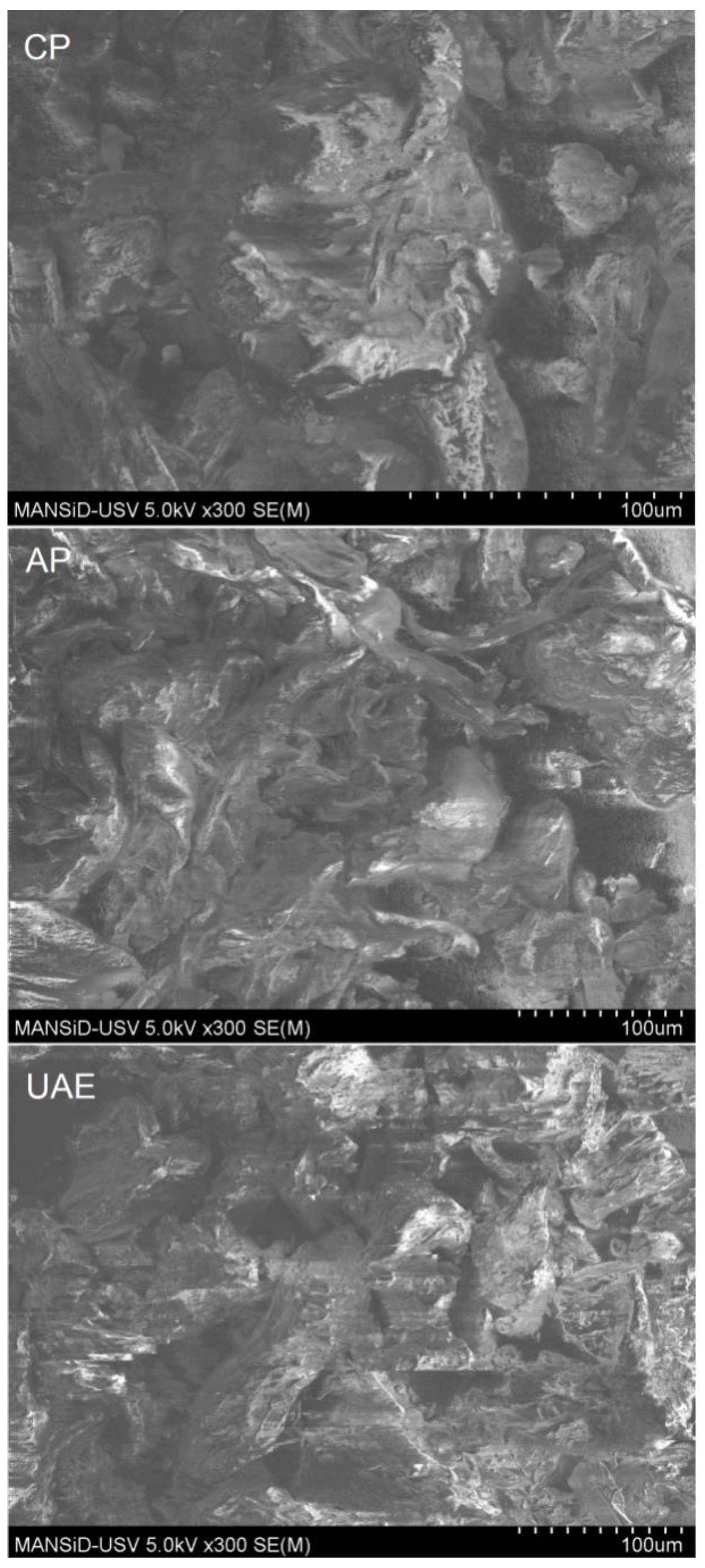 Processes 07 00488 g007 Processes 07 00488 g007