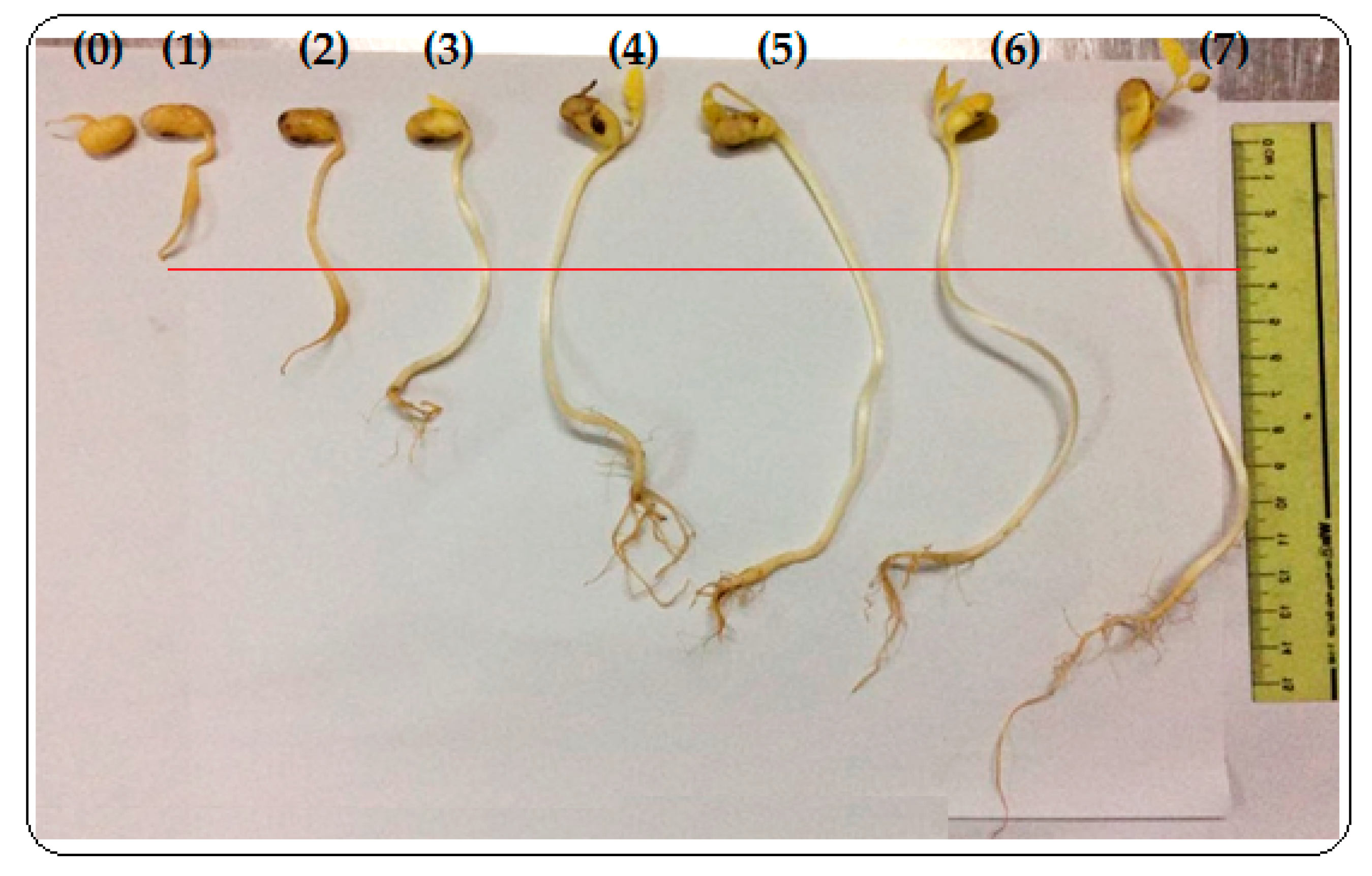 Processes 07 00489 g001 Processes 07 00489 g001