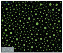 Processes 07 00502 i001