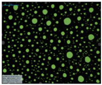 Processes 07 00502 i005