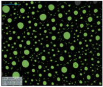 Processes 07 00502 i009