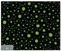 Processes 07 00502 i013