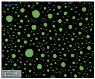 Processes 07 00502 i021
