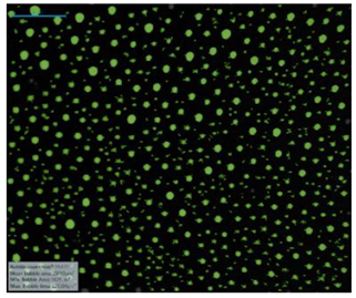 Processes 07 00502 i025