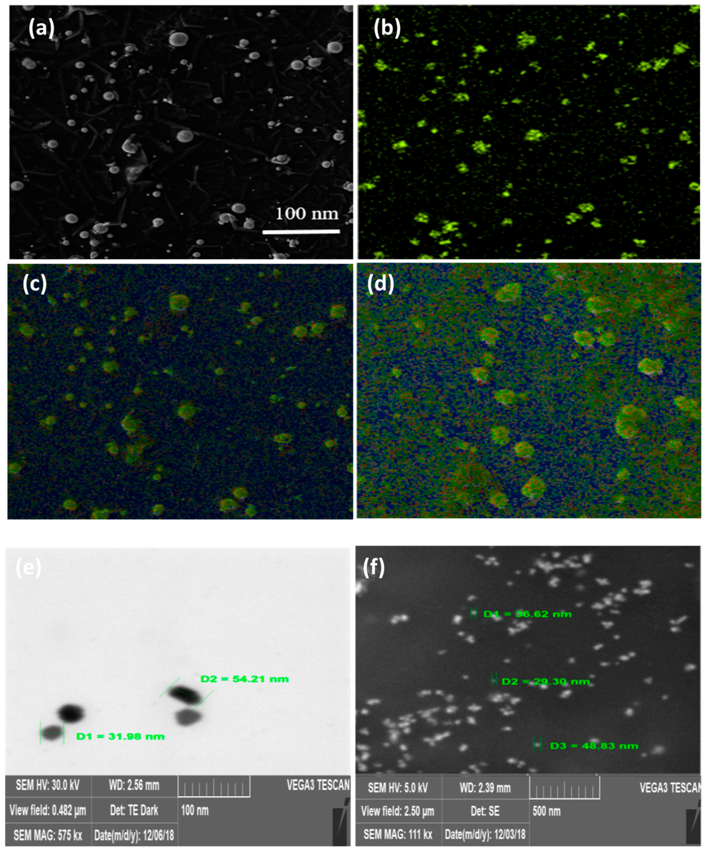 Processes 07 00510 g005 Processes 07 00510 g005
