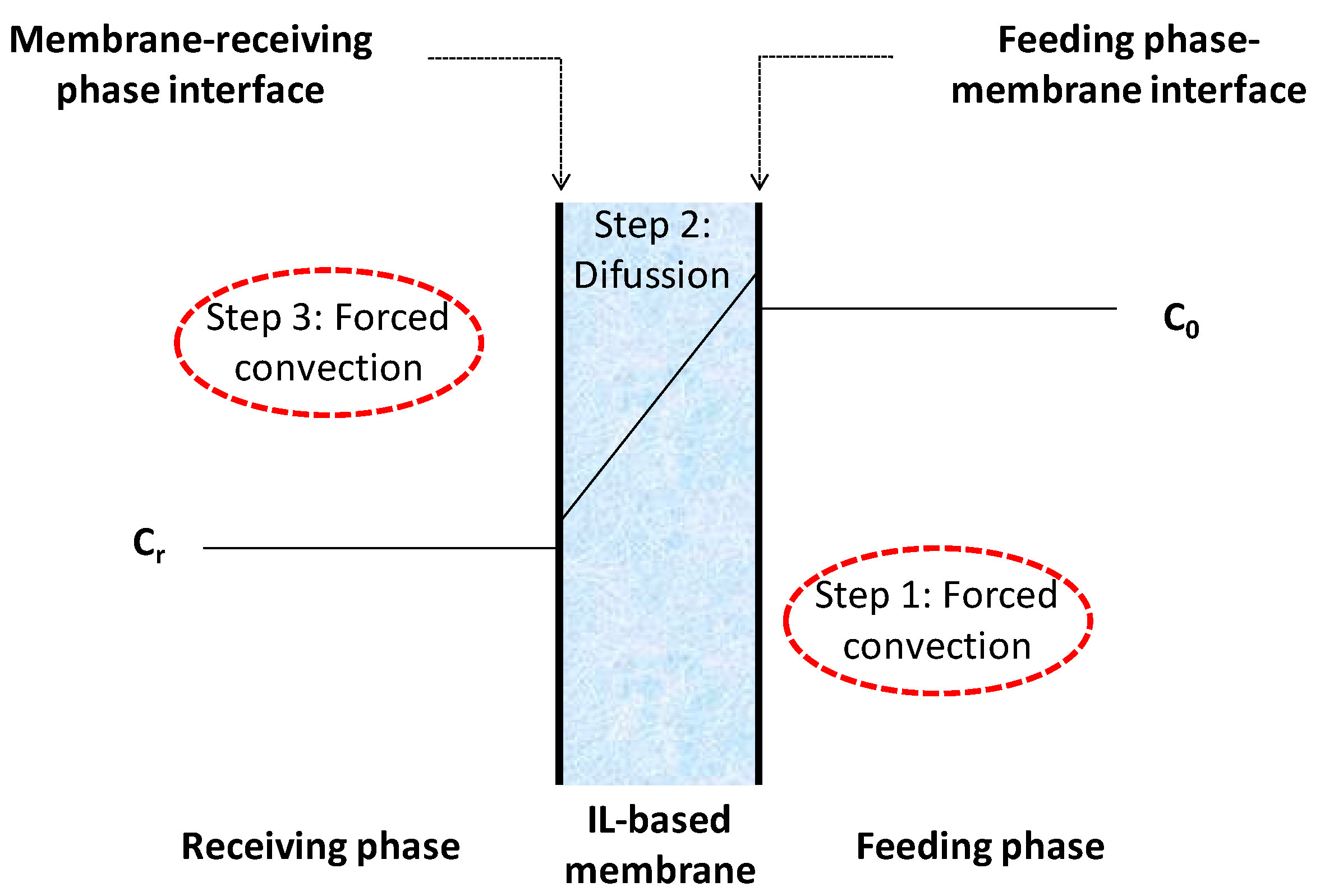 Processes 07 00544 g002