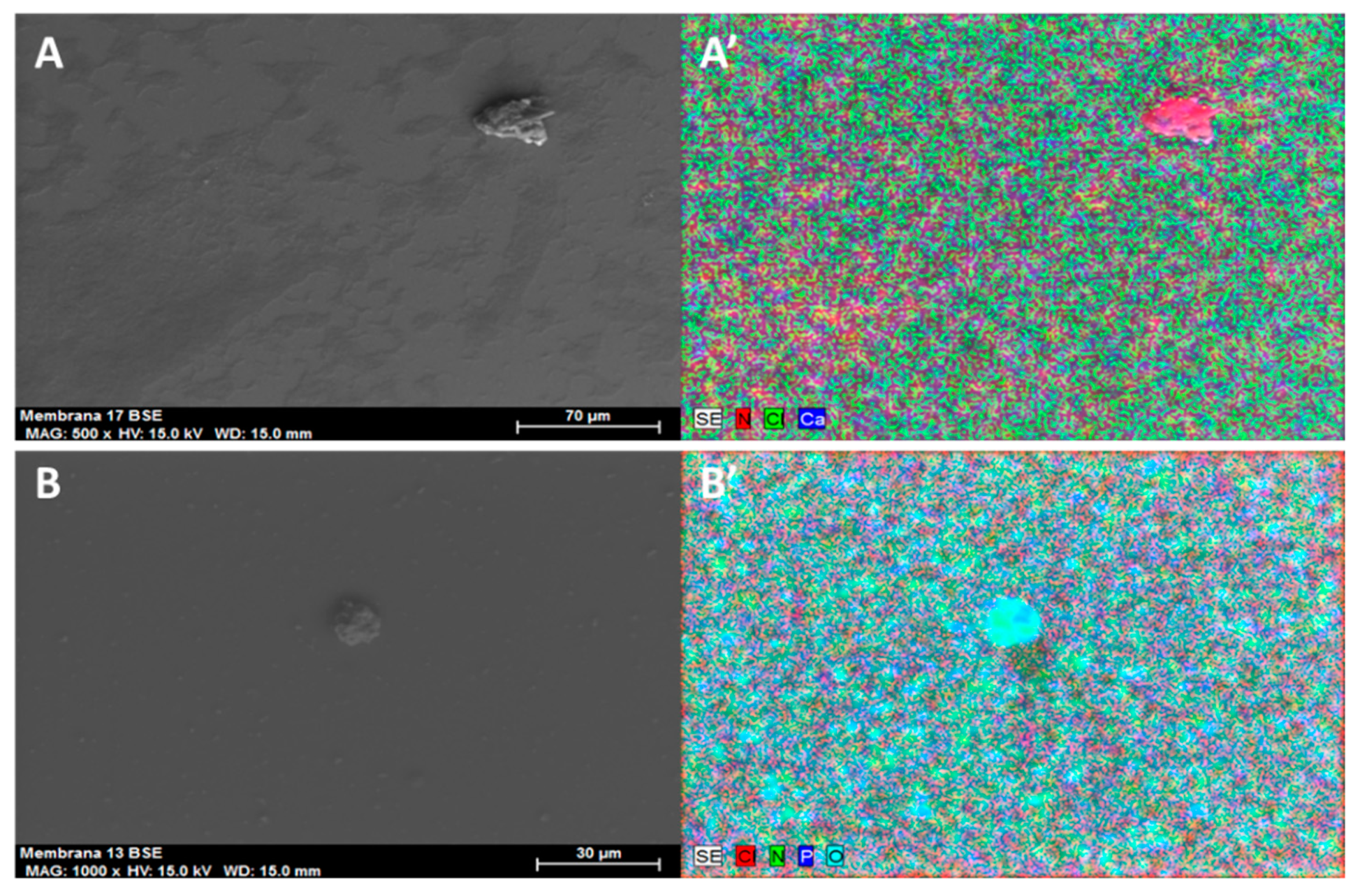 Processes 07 00544 g005