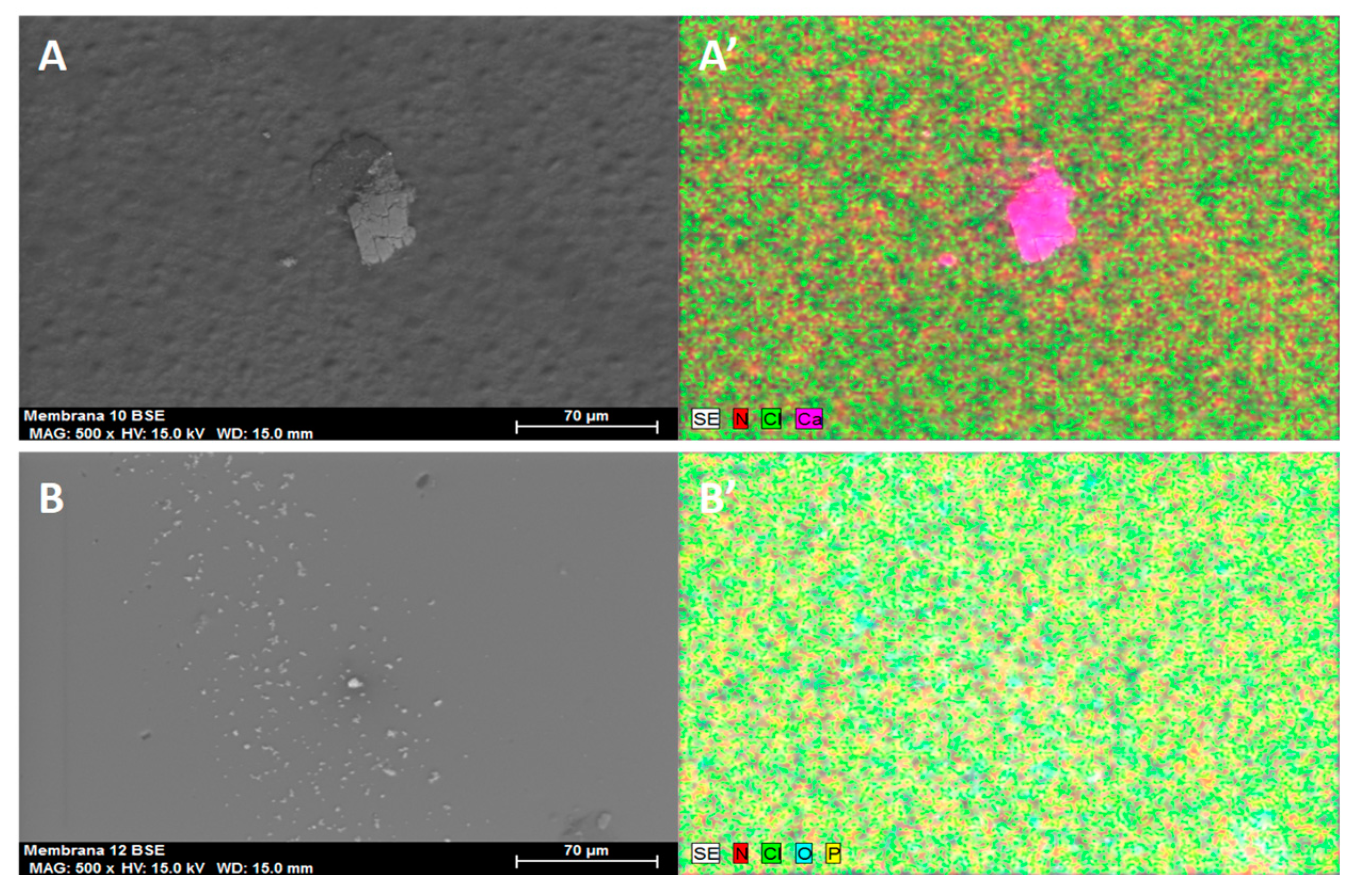 Processes 07 00544 g007