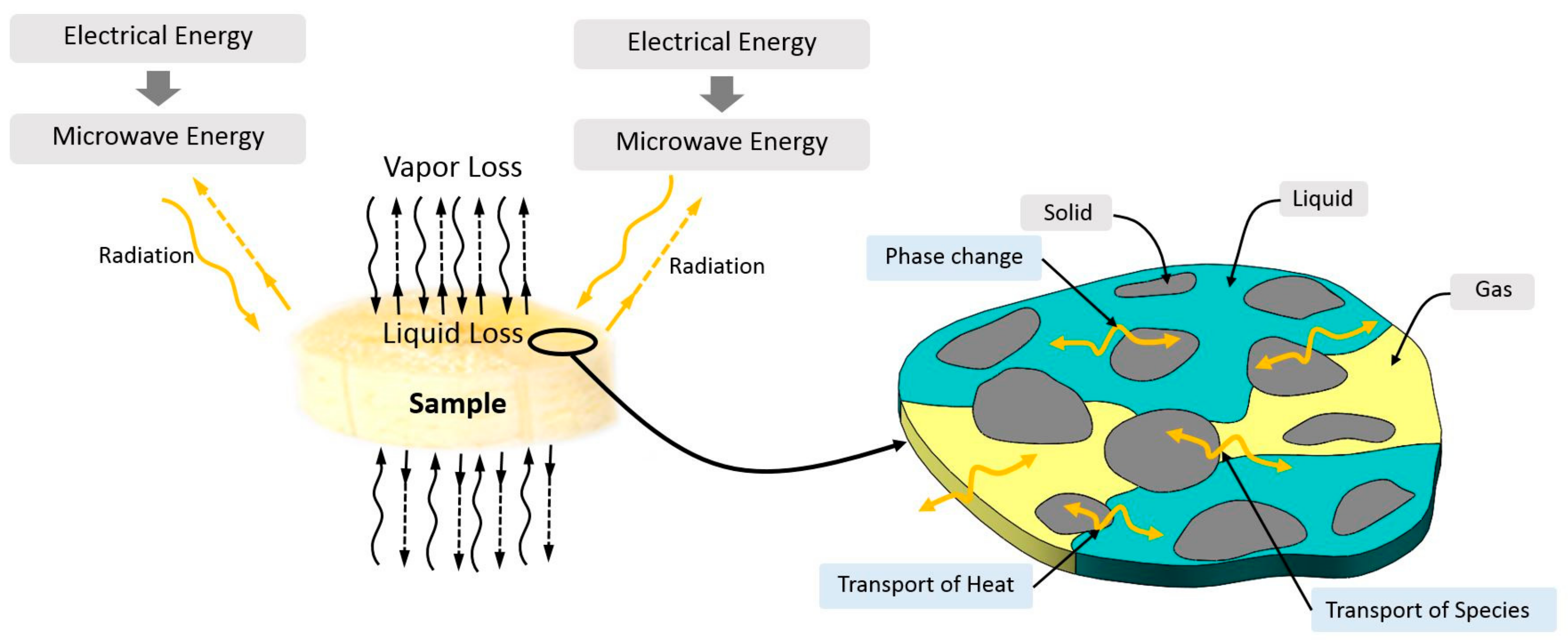 Processes Free Full Text Investigation Of Heat And Moisture Transport In Bananas During Microwave Heating Process Html Processes Free Full Text Investigation Of Heat And Moisture Transport In Bananas During Microwave Heating Process Html