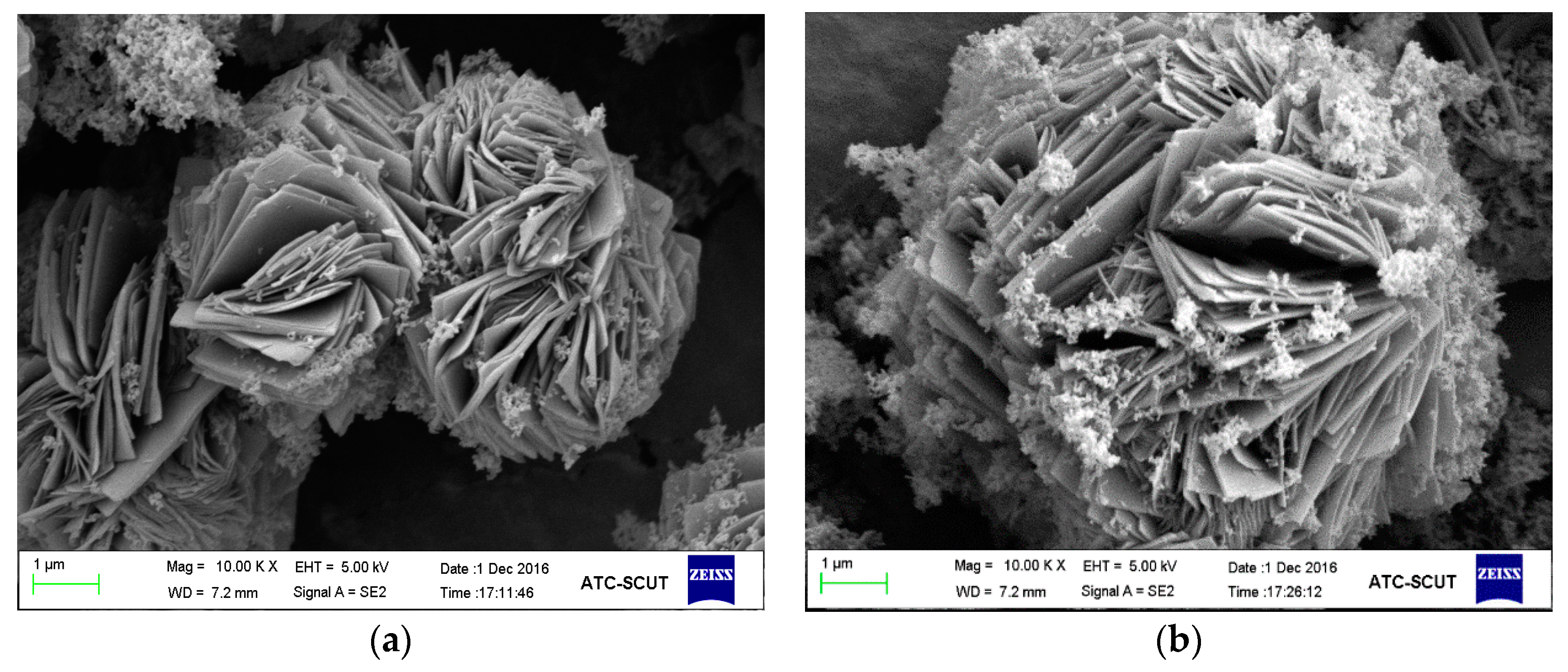 Processes 07 00565 g004 Processes 07 00565 g004