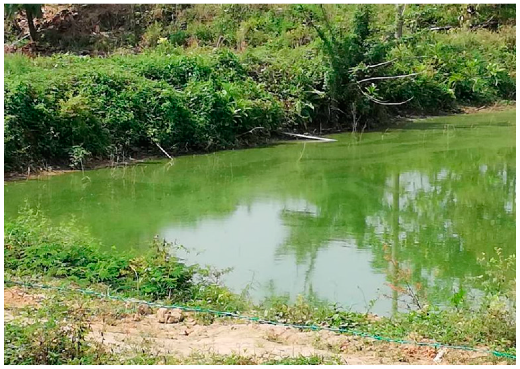 Processes 07 00572 g001 Processes 07 00572 g001