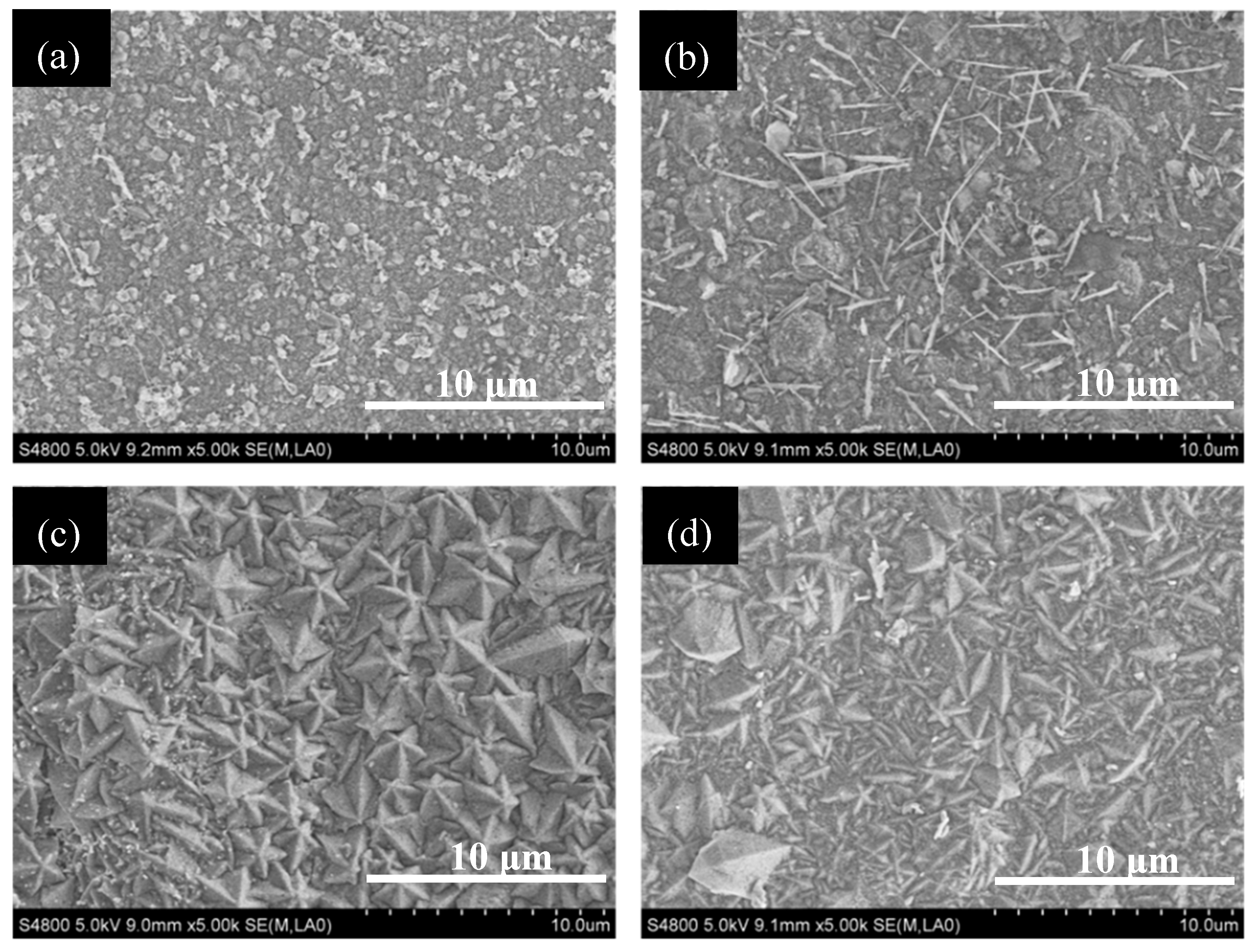Processes 07 00574 g006