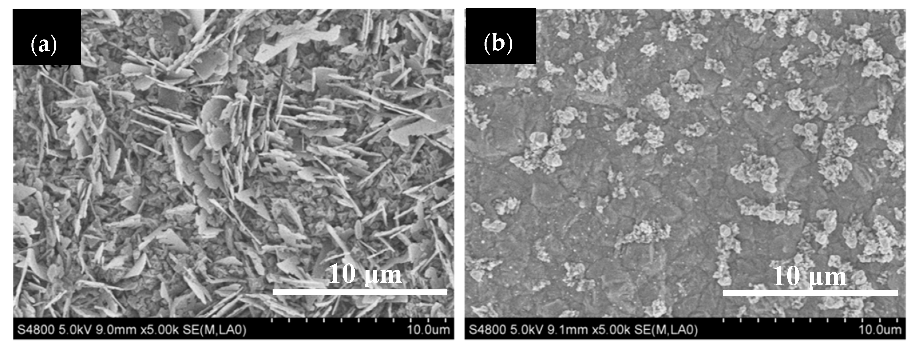 Processes 07 00574 g007