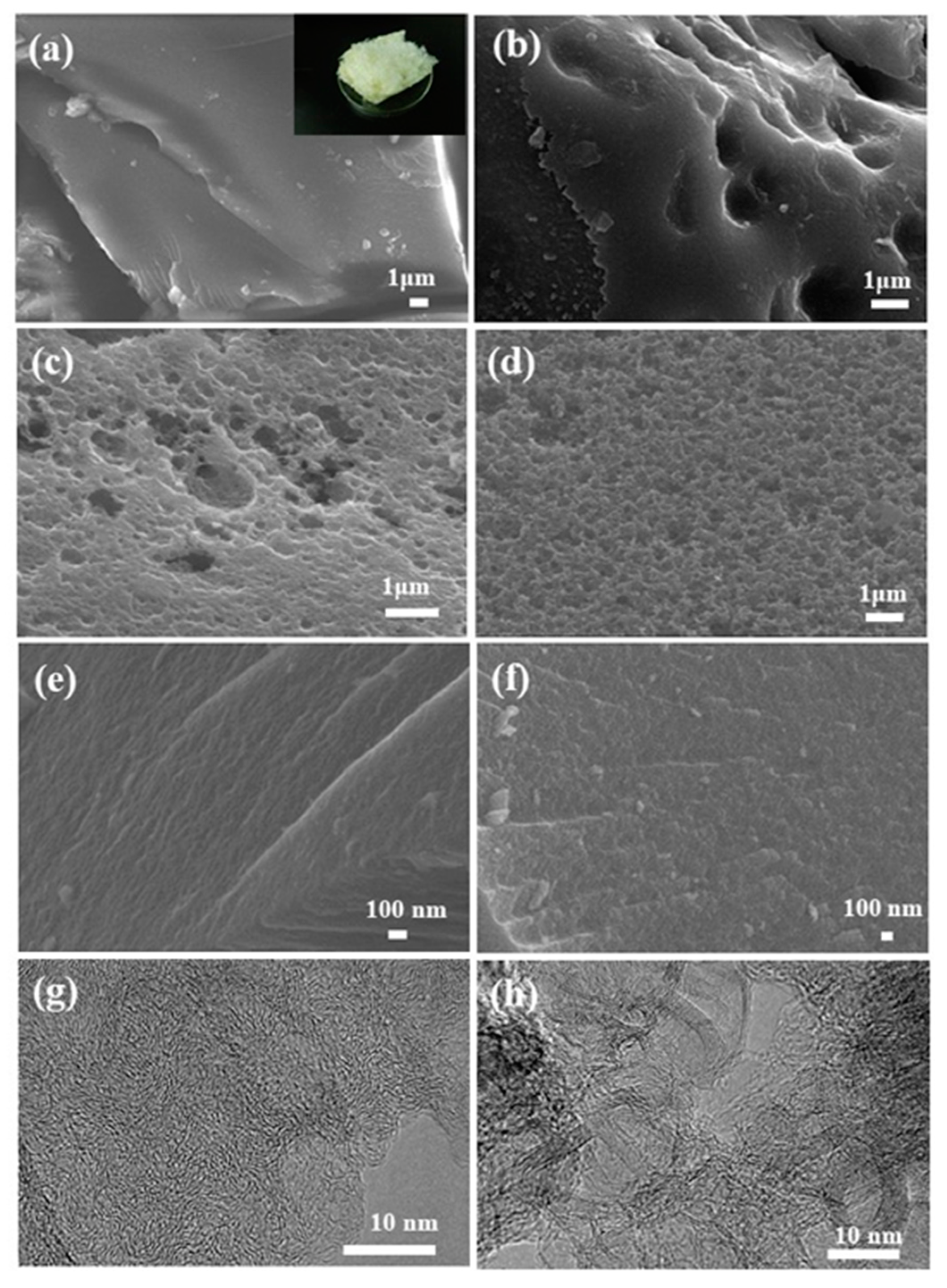 Processes 07 00592 g002