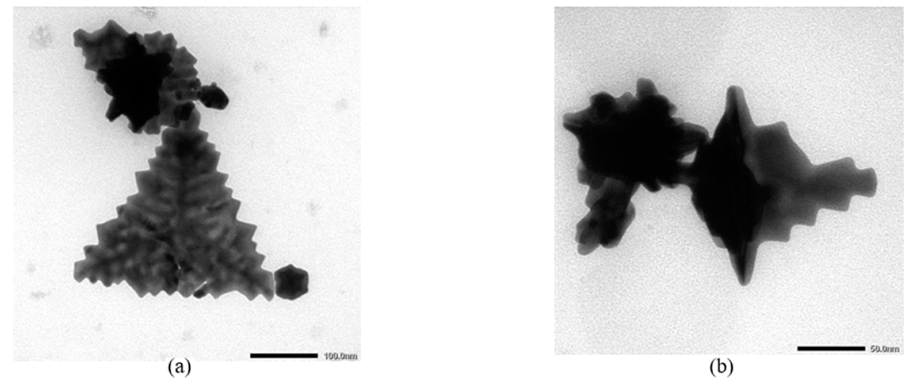 Processes 07 00631 g005a Processes 07 00631 g005a