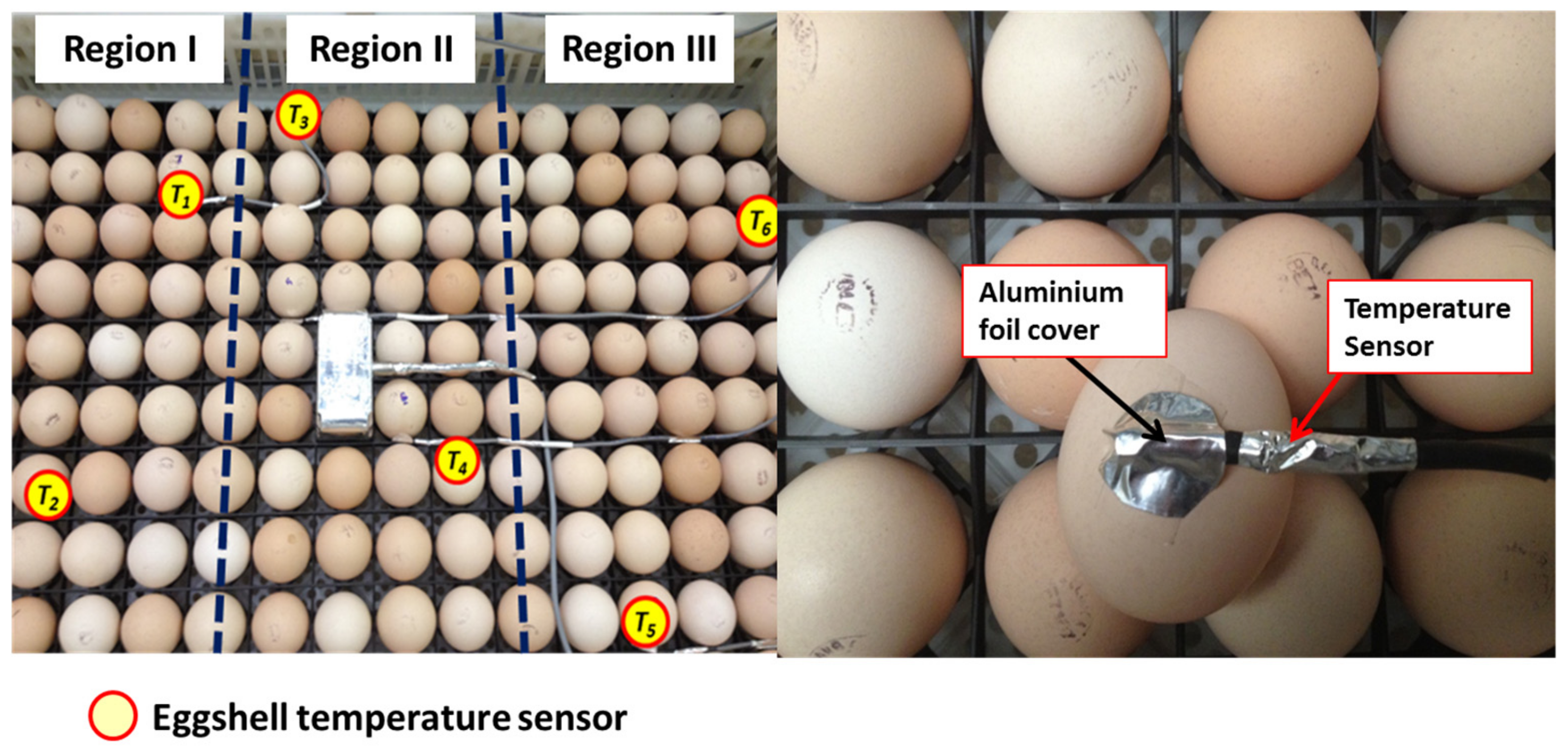 Processes 07 00651 g003 Processes 07 00651 g003