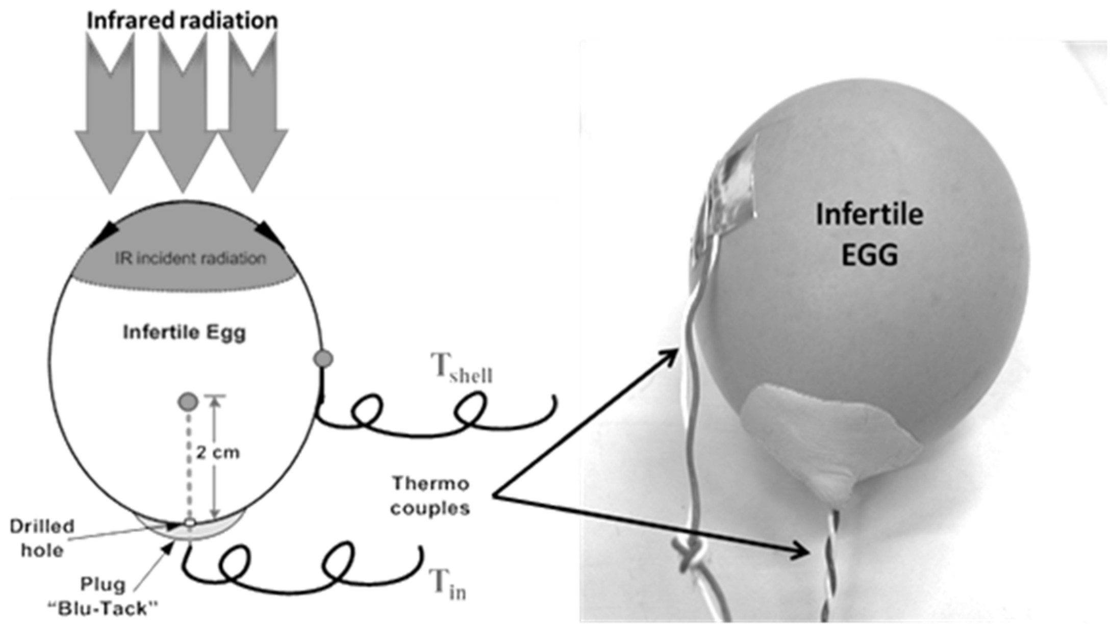 Processes 07 00651 g004 Processes 07 00651 g004