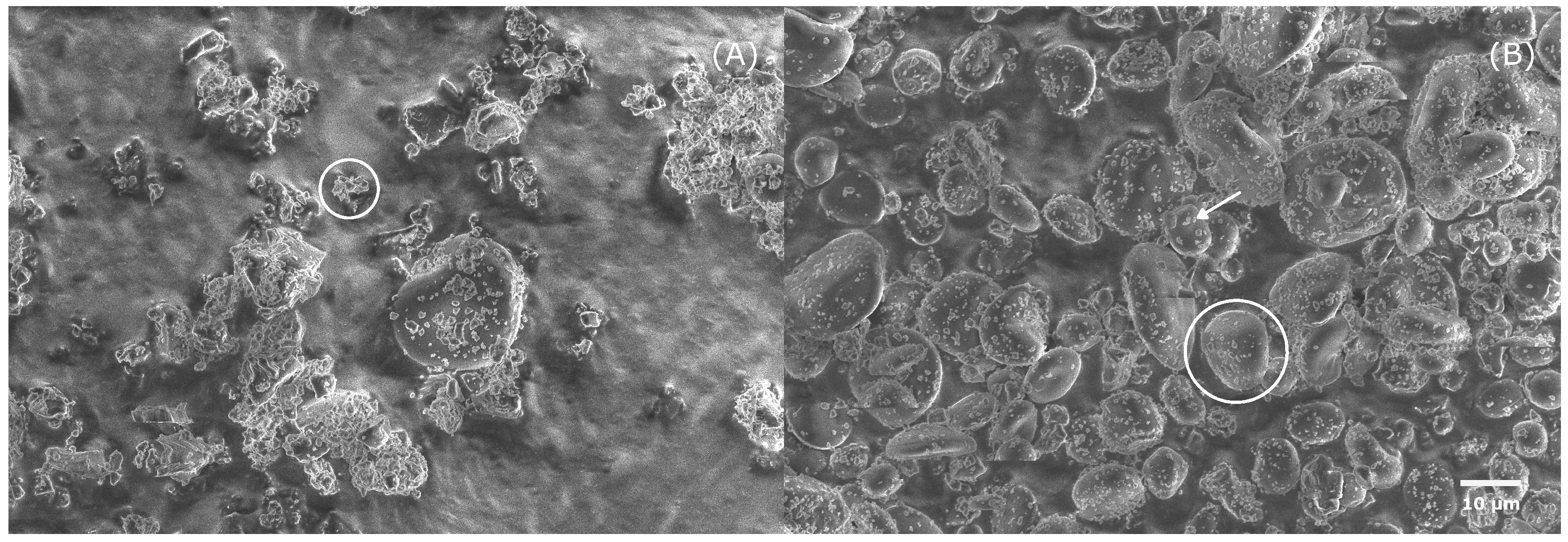 Processes 07 00716 g003 Processes 07 00716 g003